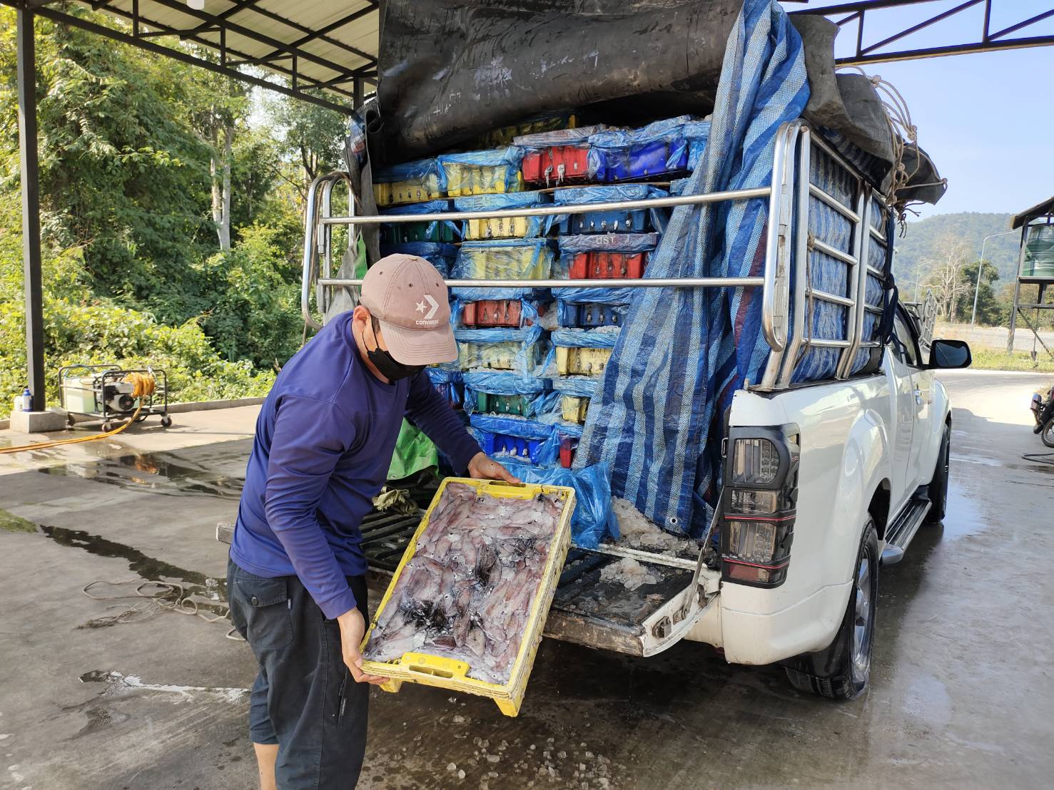 นายชนินทร์ น้อยสอาด หัวหน้าด่านตรวจประมงกาญจนบุรี มอบหมายให้ เจ้าหน้าที่ด่านตรวจประมงกาญจนบุรี ตรวจสอบสินค้าสัตว์น้ำและเอกสารการนำเข้า หมึกกล้วยแช่ย็น หอยแครงมีชีวิต และสัตว์น้ำอื่นๆ ผ่านทางช่องทางจุดผ่านแดนถาวรบ้านพุน้ำร้อน..คลิก