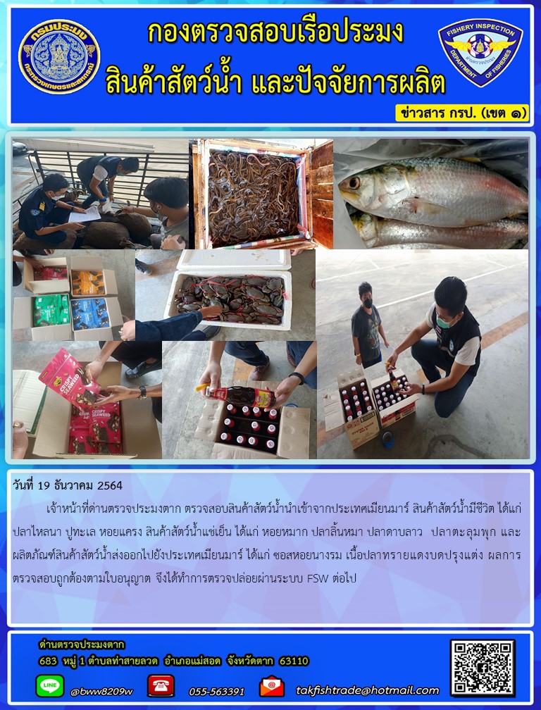 วันที่ 19 ธันวาคม 2564  	เจ้าหน้าที่ด่านตรวจประมงตาก ตรวจสอบสินค้าสัตว์น้ำนำเข้าจากประเทศเมียนมาร์ สินค้าสัตว์น้ำมีชีวิต ได้แก่ปลาไหลนา ปูทะเล หอยแครง สินค้าสัตว์น้ำแช่เย็น ได้แก่ หอยหมาก ปลาลิ้นหมา ปลาดาบลาว  ปลาตะลุมพุก และผลิตภัณฑ์สินค้าสัตว์น้ำส่งออกไปยังประเทศเมียนมาร์ ได้แก่ ซอสหอยนางรม เนื้อปลาทรายแดงบดปรุงแต่ง สาหร่ายปรุงแต่ง ผลการตรวจสอบถูกต้องตามใบอนุญาต จึงได้ทำการตรวจปล่อยผ่านระบบ FSW ต่อไป..คลิก