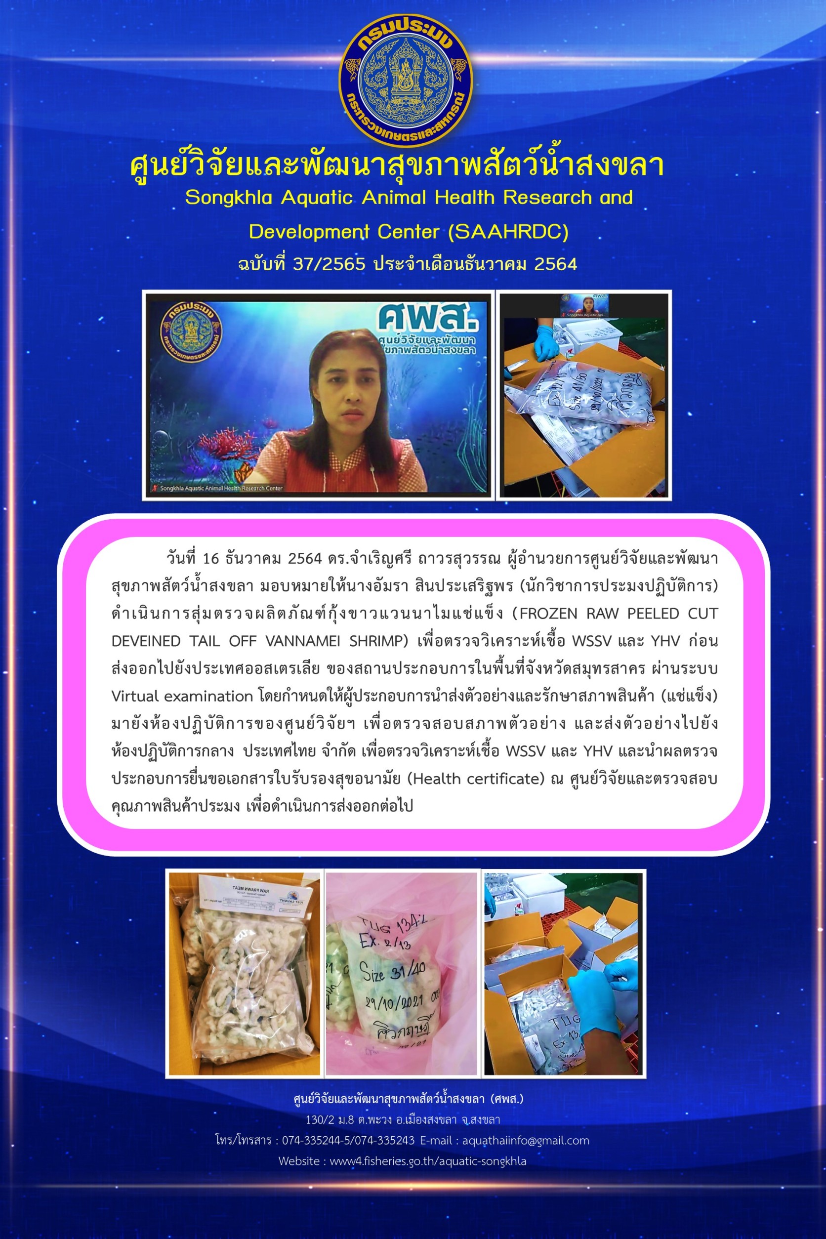 ฉบับที่ 37/2565 ศูนย์วิจัยและพัฒนาสุขภาพสัตว์น้ำสงขลา ดำเนินการสุ่มตรวจผลิตภัณฑ์กุ้งขาวแวนนาไมแช่แข็ง เพื่อตรวจวิเคราะห์เชื้อ WSSV และ YHV ก่อน ส่งออกไปยังประเทศออสเตรเลีย..คลิก
