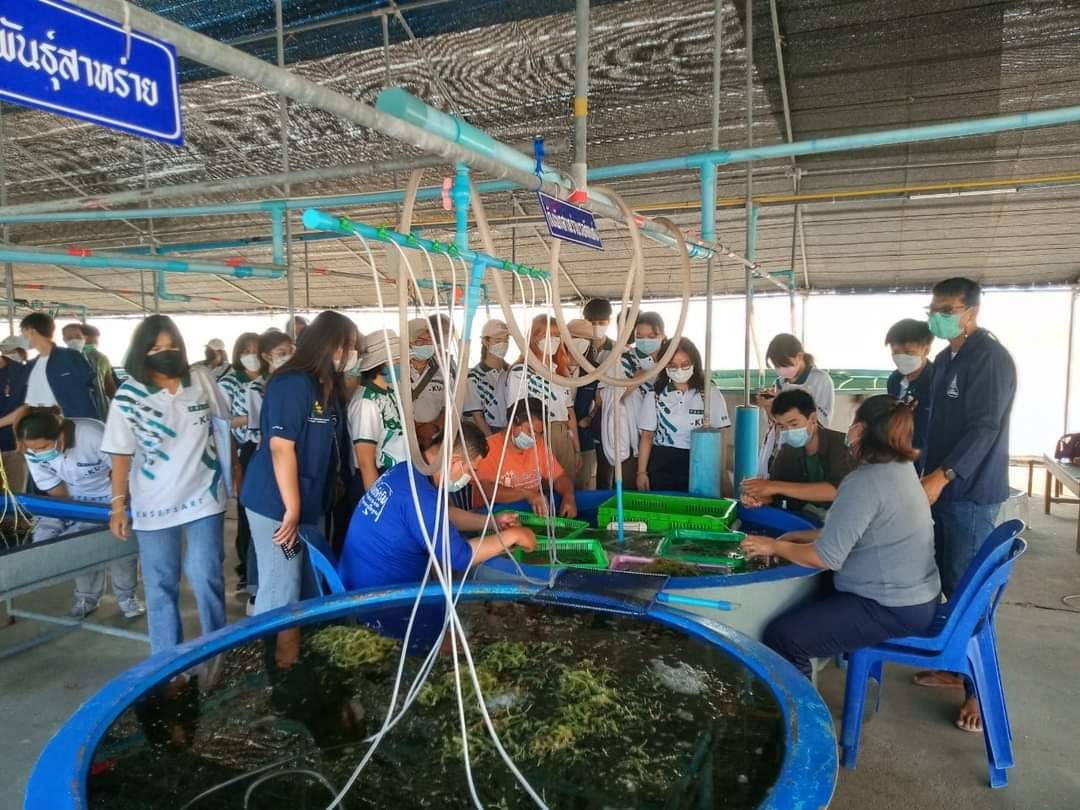 การศึกษาดูงานและเยี่ยมชมฟาร์มทะเลตัวอย่างในสมเด็จพระนางเจ้าสิริกิติ์ พระบรมราชินีนาถ จังหวัดเพชรบุรี..คลิก