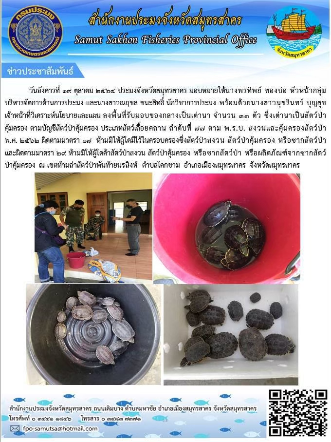 ลงพื้นที่รับมอบของกลางเป็นเต่านา จำนวน 33 ตัว ซึ่งเต่านาเป็นสัตว์ป่าคุ้มครอง ตามบัญชีสัตวืป่าคุ้มครอง ประเภทสัตว์เลื้อยคลาน ลำดับที่ 77 ตาม พ.ร.บ. สงวนและคุ้มครองสัตว์ป่า พ.ศ. 2562 ผิดตามมาตรา 17 ห้ามมิให้ผู้ใดมีไว้ครอบครองซึ่งสัตวืป่าสงวน สัตว์ป่าคุ้มครอง หรือซากสัตว์ป่า  หรือผลิตภัณฑ์จากสัตวืป่าคุ้มครอง ณ เขตห้ามล่าสัตว์ป่าพันท้ายนรสิงห์ ตำบลโคกขาม อำเภอเมืองสมุทรสาคร  จังหวัดสมุทรสาคร ..คลิก