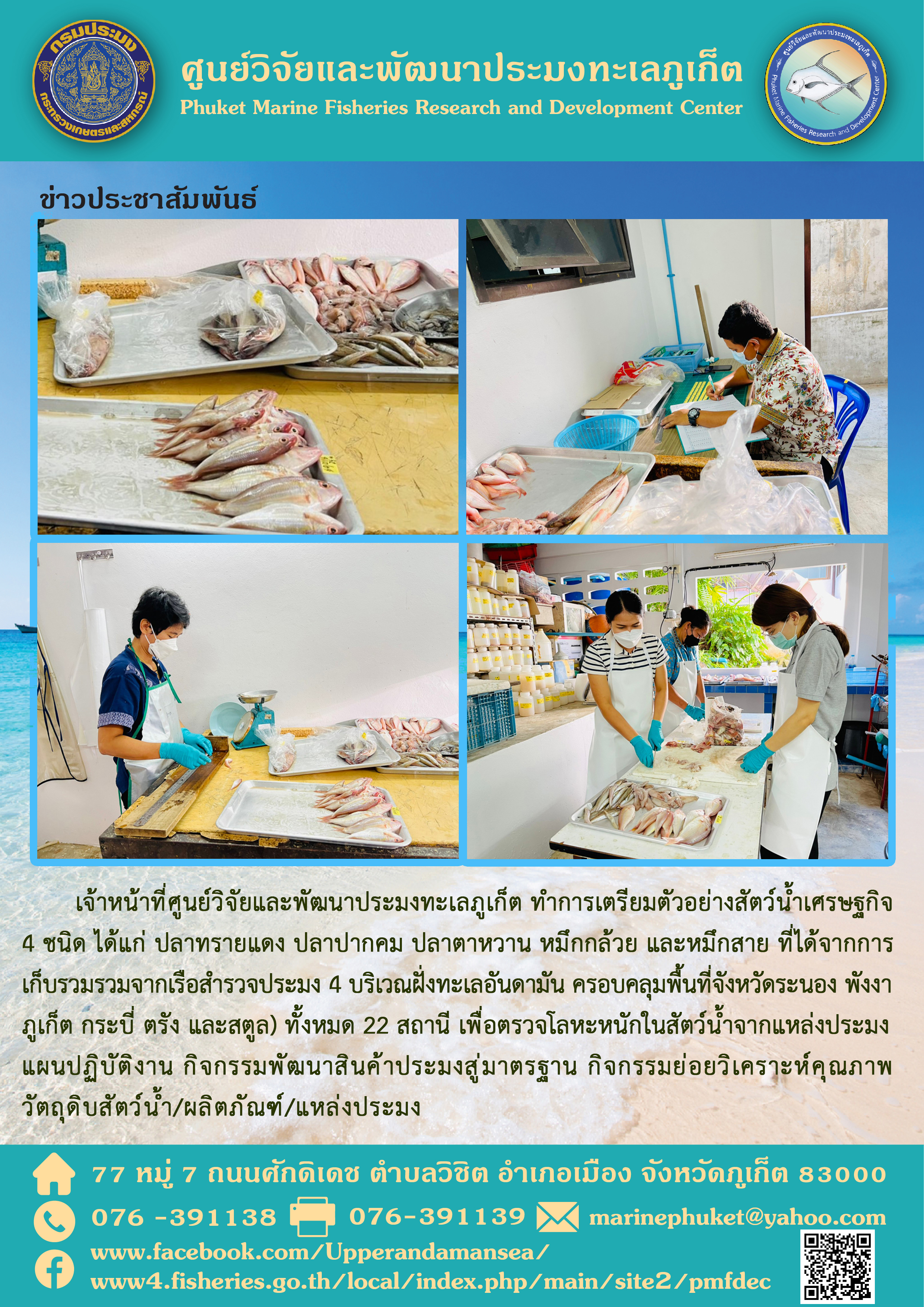 เจ้าหน้าที่ศูนย์วิจัยและพัฒนาประมงทะเลภูเก็ต ทำการเตรียมตัวอย่างสัตว์น้ำเศรษฐกิจ 4 ชนิด ได้แก่ ปลาทรายแดง ปลาปากคม ปลาตาหวาน หมึกกล้วย และหมึกสาย ที่ได้จากการเก็บรวมรวมจากเรือสำรวจประมง 4 บริเวณฝั่งทะเลอันดามัน..คลิก