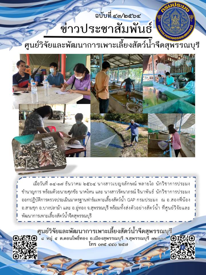 ข่าวประชาสัมพันธ์ฉบับที่ 43 ประจำเดือนธันวาคม 2564..คลิก