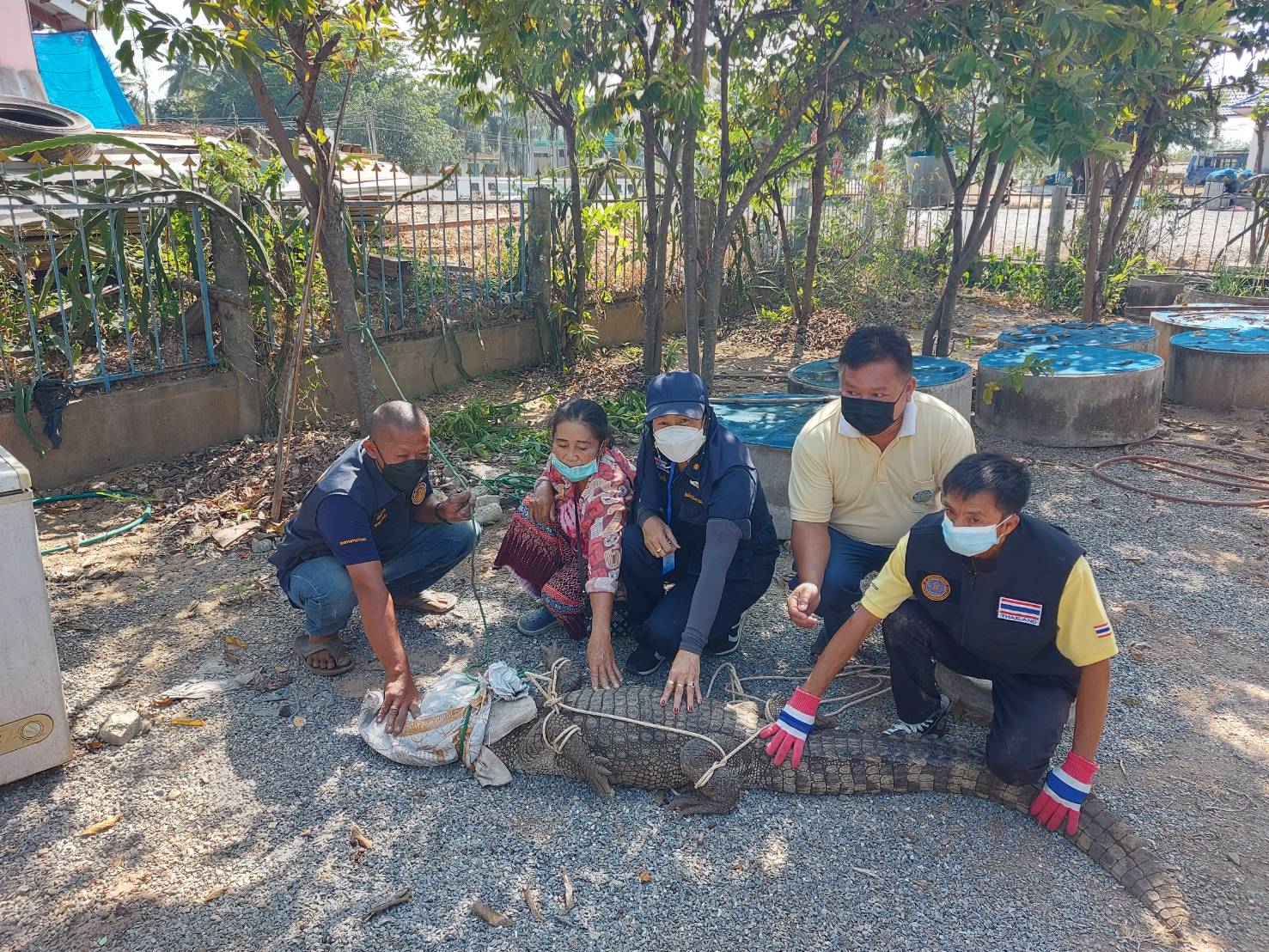 สำนักงานประมงจังหวัดนครสวรรค์ ร่วมกับศูนย์วิจัยและพัฒนาประมงน้ำจืดนครสวรรค์และหน่วยป้องกันและปราบปรามประมงน้ำจืด บึงบอระเพ็ด จับจระเข้ หลังได้รับแจ้งจากชาวบ้าน หมู่ที่ 5 ตำบลพระนอน อำเภอเมืองนครสวรรค์ จังหวัดนครสวรรค์..คลิก