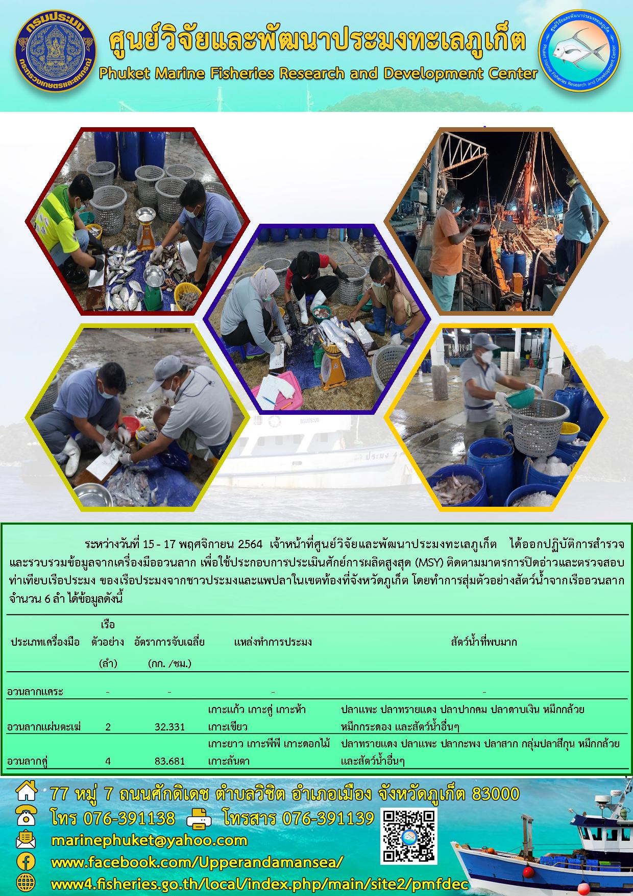 ระหว่างวันที่ 15 - 17 พฤศจิกายน 2564  เจ้าหน้าที่ศูนย์วิจัยและพัฒนาประมงทะเลภูเก็ต   ได้ออกปฏิบัติการสำรวจ   และรวบรวมข้อมูลจากเครื่องมืออวนลาก เพื่อใช้ประกอบการประเมินศักย์การผลิตสูงสุด (MSY) ติดตามมาตรการปิดอ่าวและตรวจสอบ      ท่าเทียบเรือประมง ของเรือประมงจากชาวประมงและแพปลาในเขตท้องที่จังหวัดภูเก็ต..คลิก