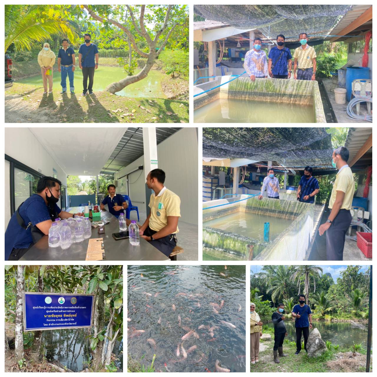 ติดตามตรวจเยี่ยมและประเมินศักยภาพศูนย์เครือข่ายด้านการประมง และ.ตรวจติดตามผลการดำเนินงานและร่วมจัดทำแผนการพัฒนาแปลงเรียนรู้ด้านการประมงประจำศูนย์..คลิก