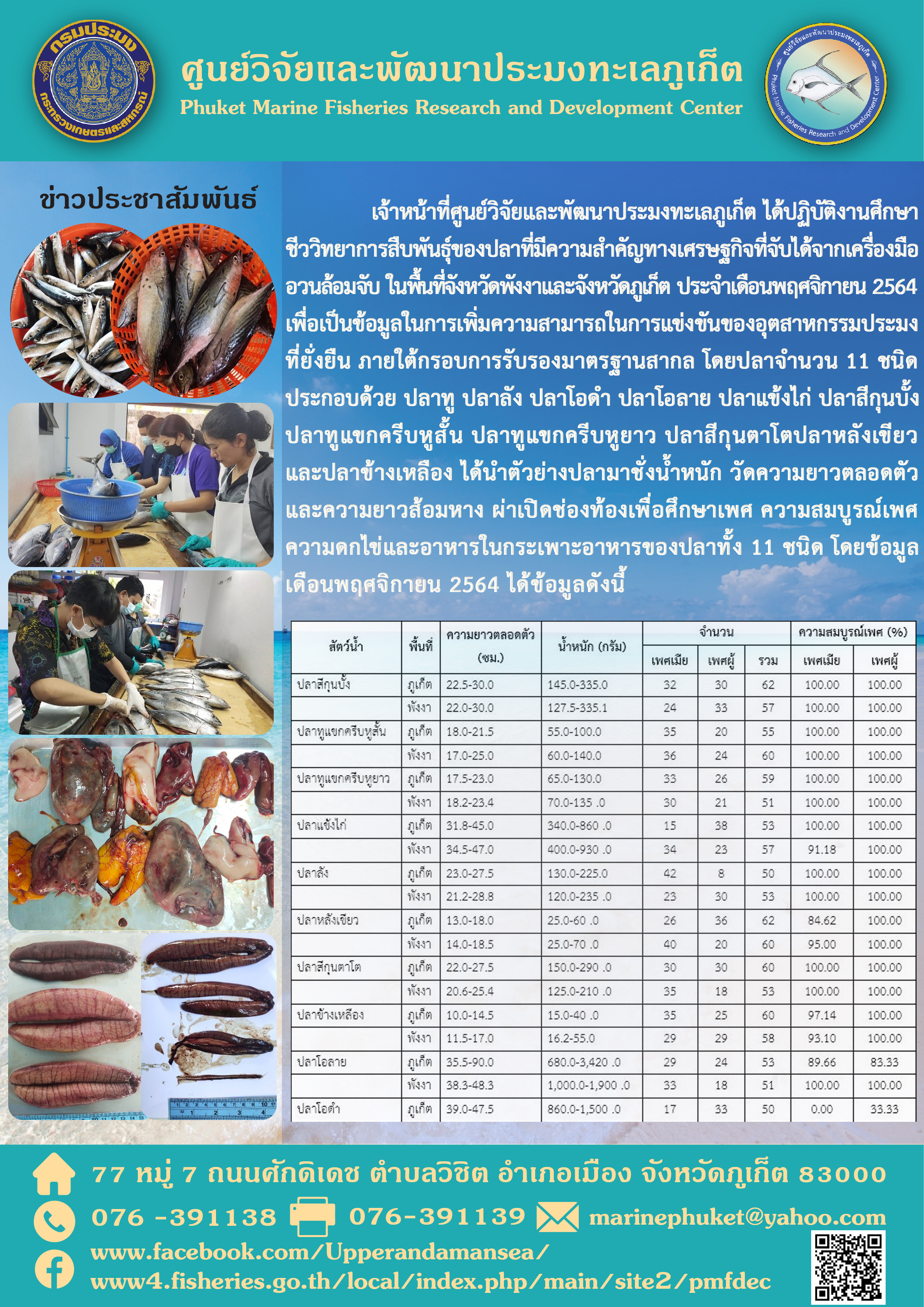 เจ้าหน้าที่ศูนย์วิจัยและพัฒนาประมงทะเลภูเก็ต ได้ปฏิบัติงานศึกษา ชีววิทยาการสืบพันธุ์ของปลาที่มีความสำคัญทางเศรษฐกิจที่จับได้จากเครื่องมือ อวนล้อมจับ ในพื้นที่จังหวัดพังงาและจังหวัดภูเก็ต ประจำเดือนพฤศจิกายน 2564ฯ..คลิก