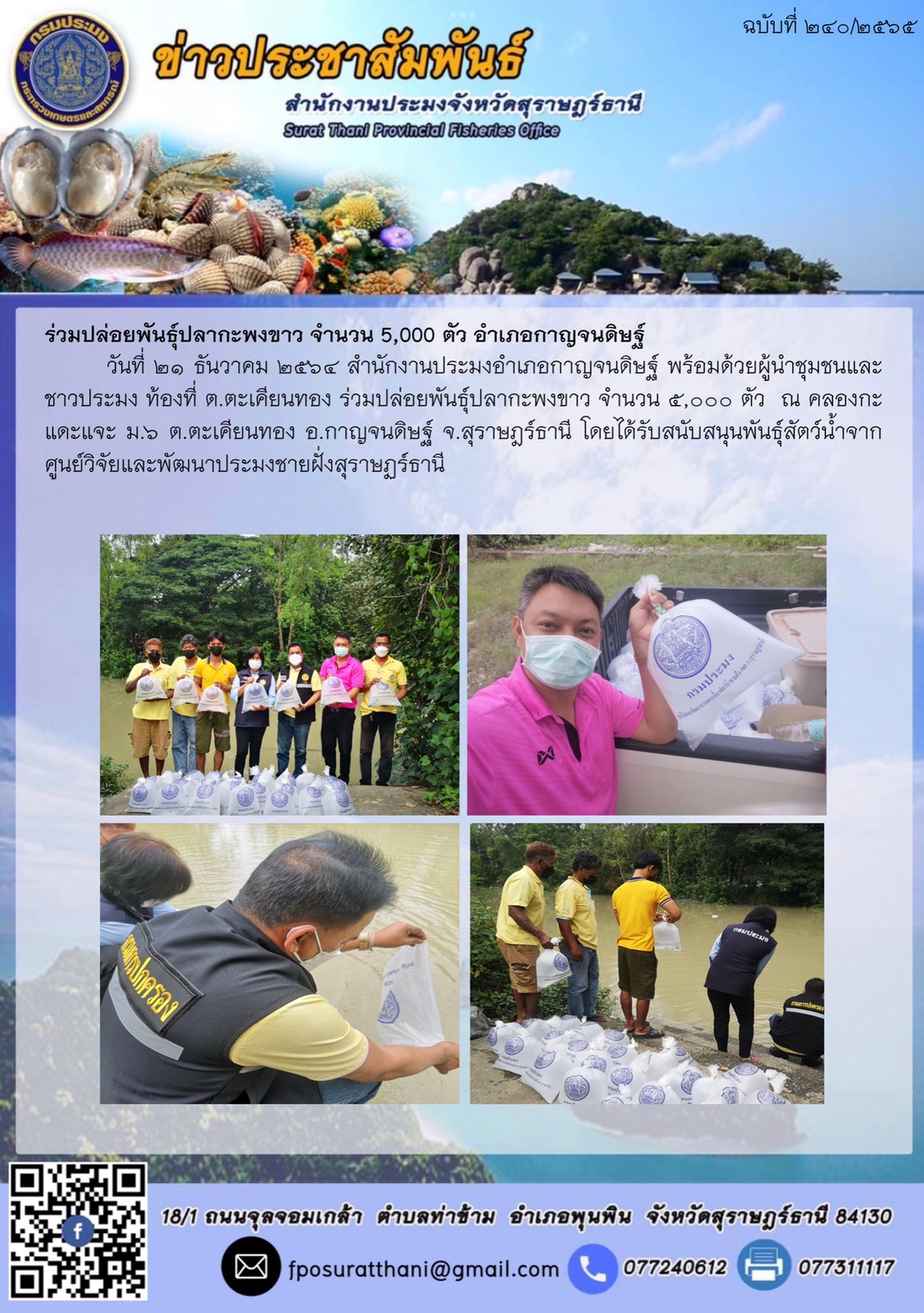 ร่วมปล่อยพันธุ์ปลากะพงขาว จำนวน 5000 ตัว อำเภอกาญจนดิษฐ์     