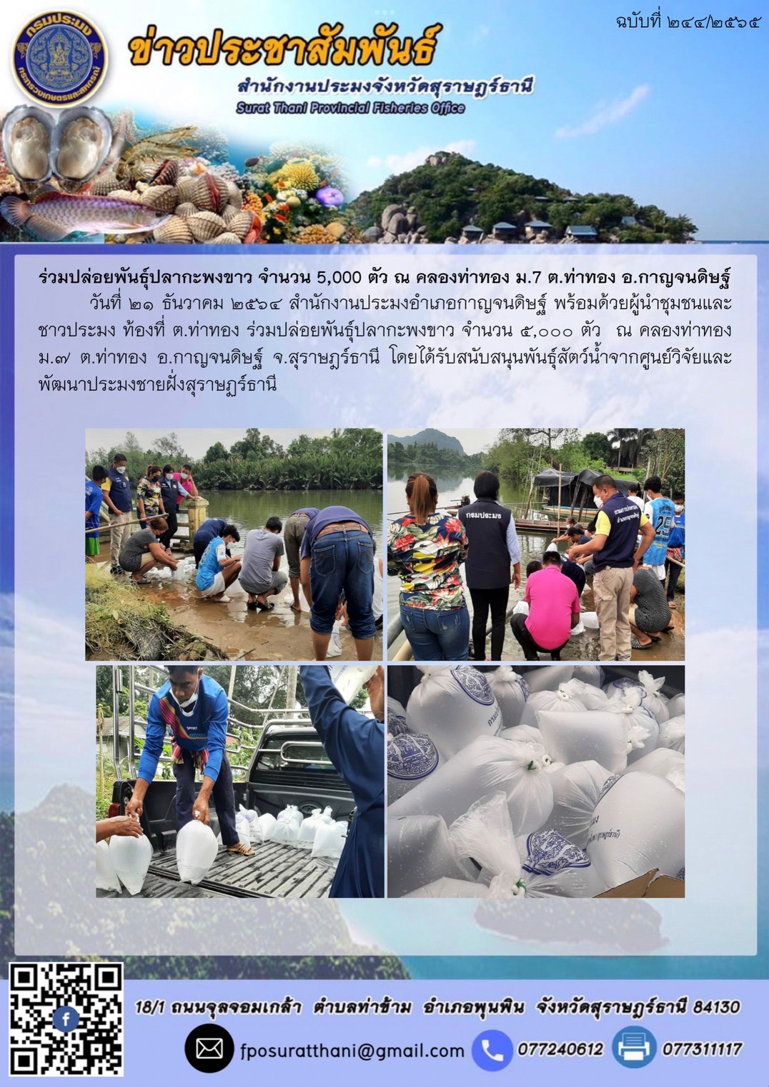 ร่วมปล่อยพันธุ์ปลากะพงขาว จำนวน 5000 ตัว ณ คลองท่าทอง ม.7 ต.ท่าทอง อ.กาญจนดิษฐ์
