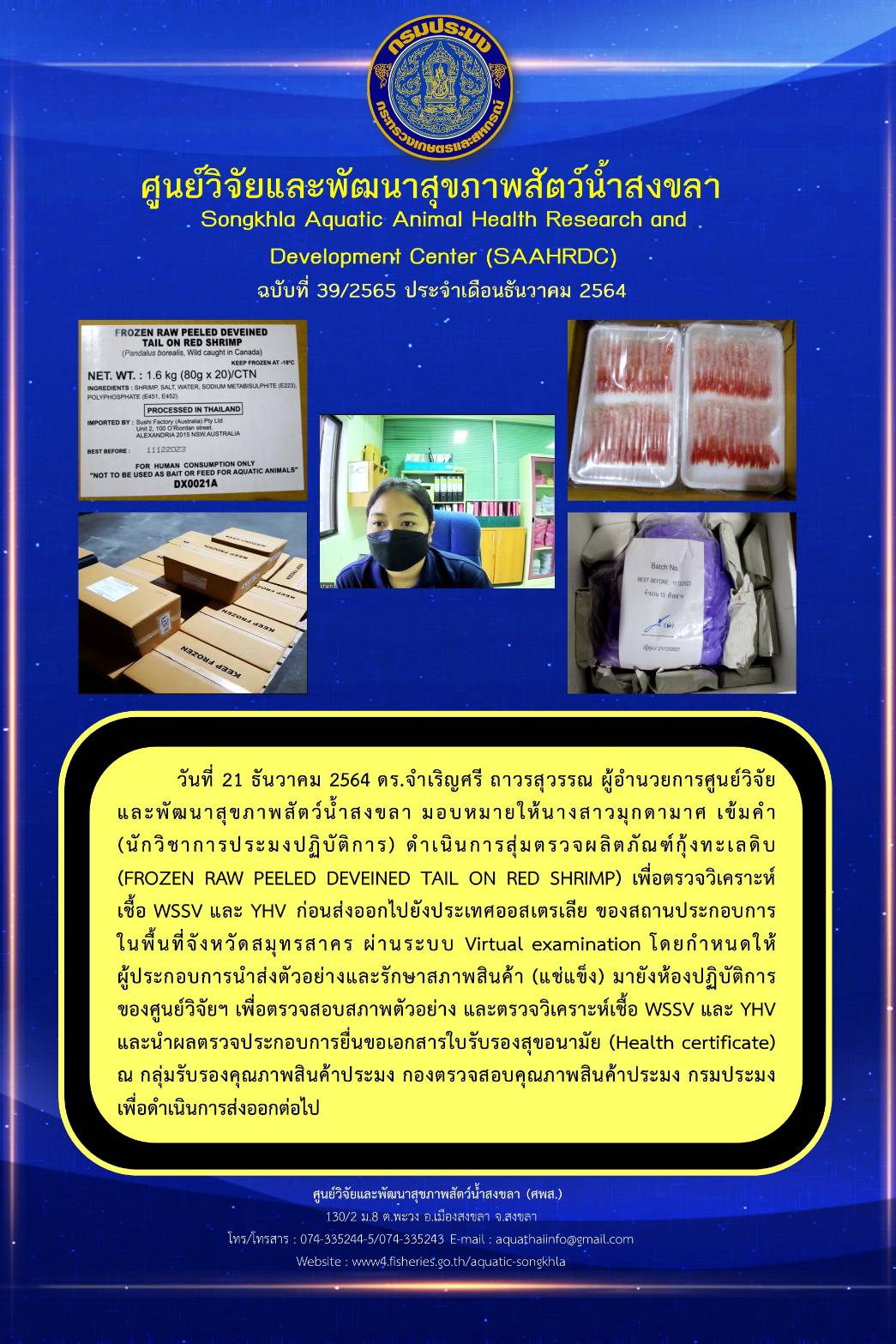 ฉบับที่ 39/2565 ศูนย์วิจัยและพัฒนาสุขภาพสัตว์น้ำสงขลา ดำเนินการสุ่มตรวจผลิตภัณฑ์กุ้งทะเลดิบ เพื่อตรวจวิเคราะห์ เชื้อ WSSV และ YHV ก่อนส่งออกไปยังประเทศออสเตรเลีย..คลิก