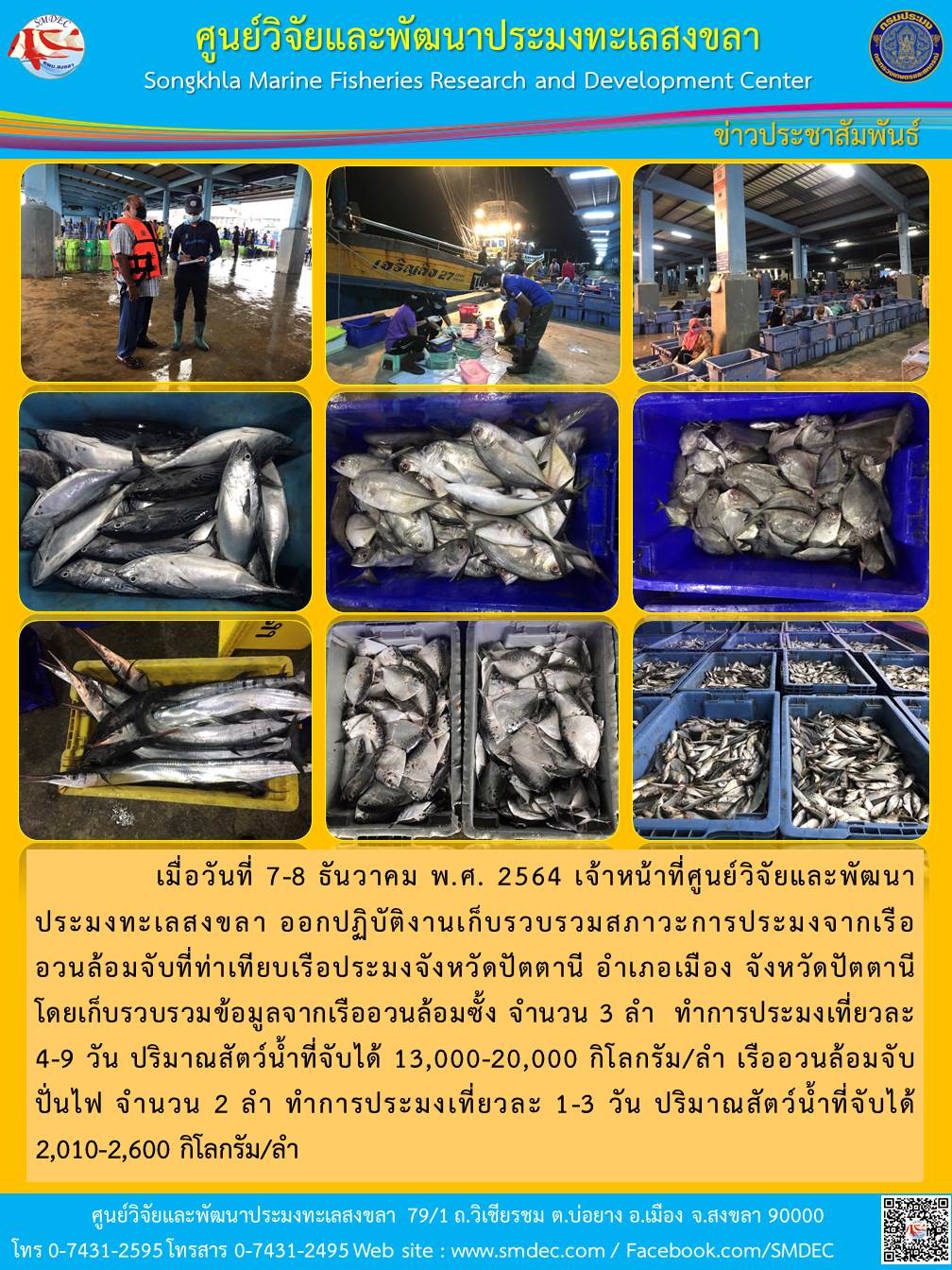 เมื่อวันที่ 7-8 ธันวาคม พ.ศ. 2564 เจ้าหน้าที่ศูนย์วิจัยและพัฒนา ประมงทะเลสงขลา ออกปฏิบัติงานเก็บรวบรวมสภาวะการประมงจากเรือ อวนล้อมจับที่ท่าเทียบเรือประมงจังหวัดปัตตานี อำเภอเมือง จังหวัดปัตตานี โดยเก็บรวบรวมข้อมูลจากเรืออวนล้อมซั้ง จำนวน 3 ลำ ทำการประมงเที่ยวละ 4-9 วัน ฯ..คลิก