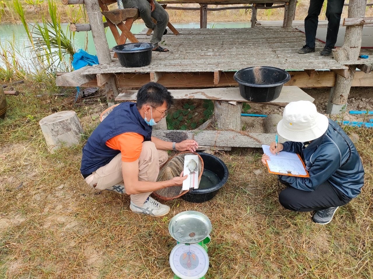 นายกิตติพงษ์ ลีลาศสง่างาม ประมงจังหวัดศรีสะเกษ มอบหมายให้ นายธนดล นวลจันทร์ หัวหน้ากลุ่มพัฒนาและส่งเสริมอาชีพการประมง พร้อมเจ้าหน้าที่สำนักงานประมงจังหวัดศรีสะเกษ ลงพื้นที่ติดตามการเจริญเติบโตของสัตว์น้ำในโครงการ 1 ตำบล 1 กลุ่มเกษตรทฤษฎีใหม่..คลิก