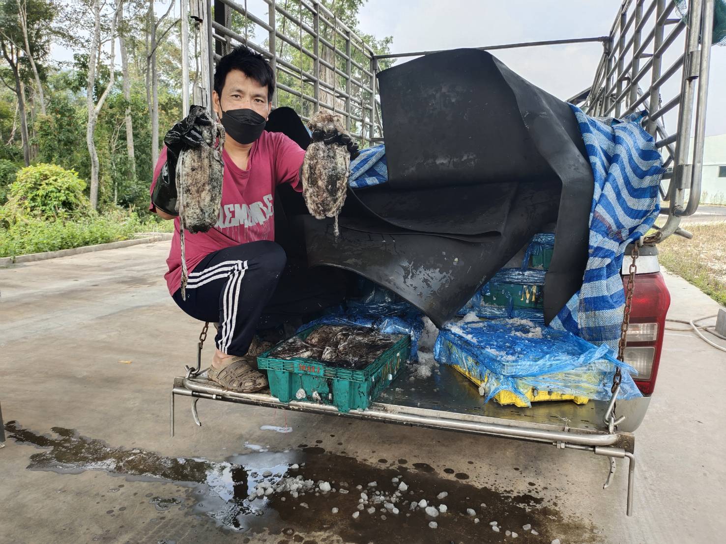 นายชนินทร์ น้อยสอาด หัวหน้าด่านตรวจประมงกาญจนบุรี มอบหมายให้ เจ้าหน้าที่ด่านตรวจประมงกาญจนบุรี ตรวจสอบสินค้าสัตว์น้ำและเอกสารการนำเข้า หอยแครงมีชีวิต หมึกกระดองแช่เย็น หมึกกล้วยแช่ย็น และสัตว์น้ำอื่นๆ ผ่านทางช่องทางจุดผ่านแดนถาวรบ้านพุน้ำร้อน..คลิก