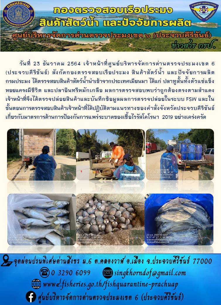 สินค้าสัตว์น้ำนำเข้าจากประเทศเมียนมา..คลิก