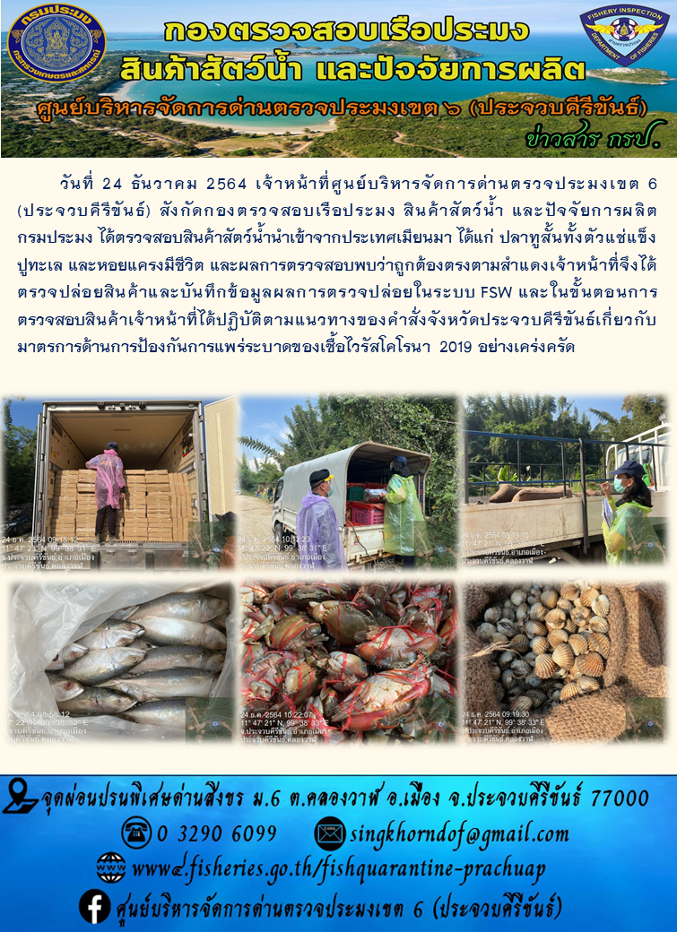 สินค้าสัตว์น้ำนำเข้าจากประเทศเมียนมา..คลิก