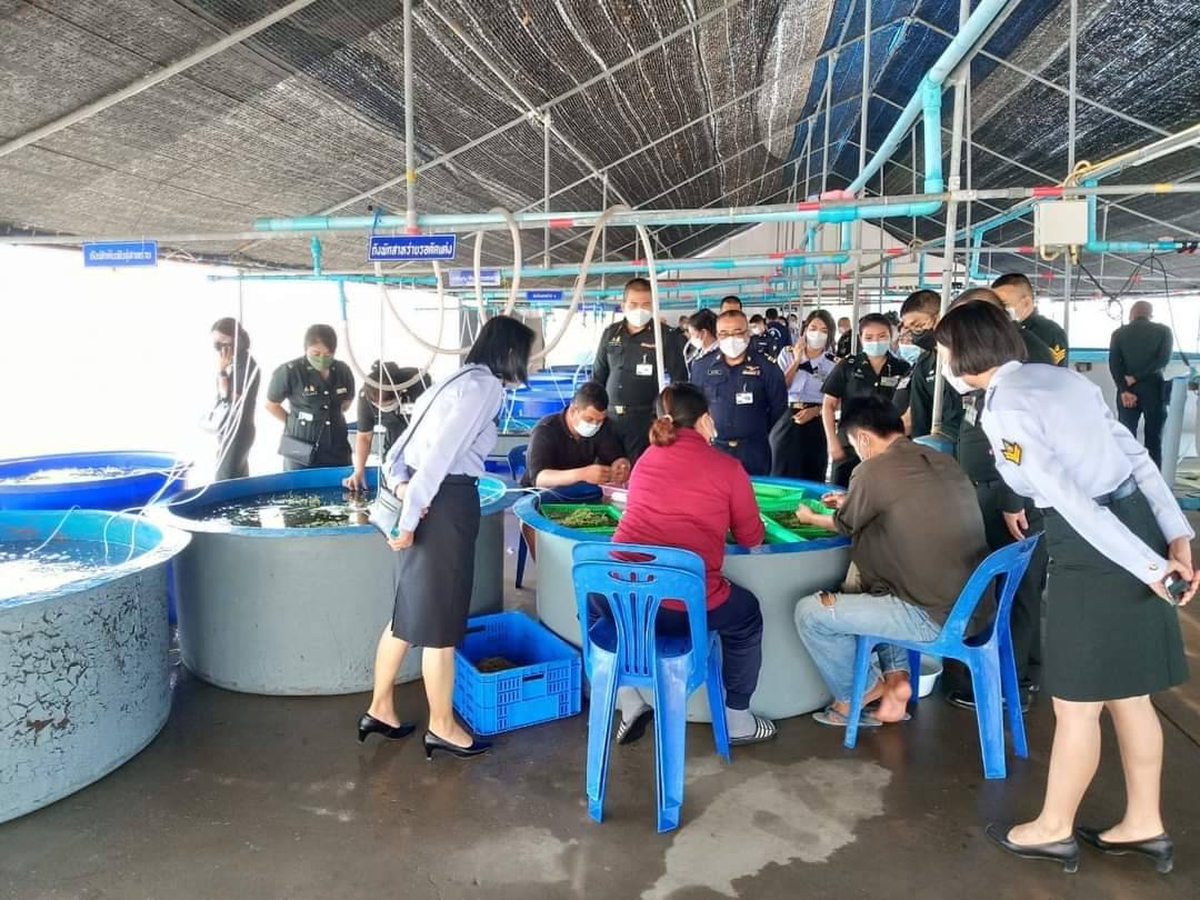 คณะผู้บังคับบัญชาและบุคลากรของกรมสารบรรณทหาร เข้าศึกษาดูงานและเยี่ยมชมฟาร์มทะเลตัวอย่าง จังหวัดเพชรบุรี