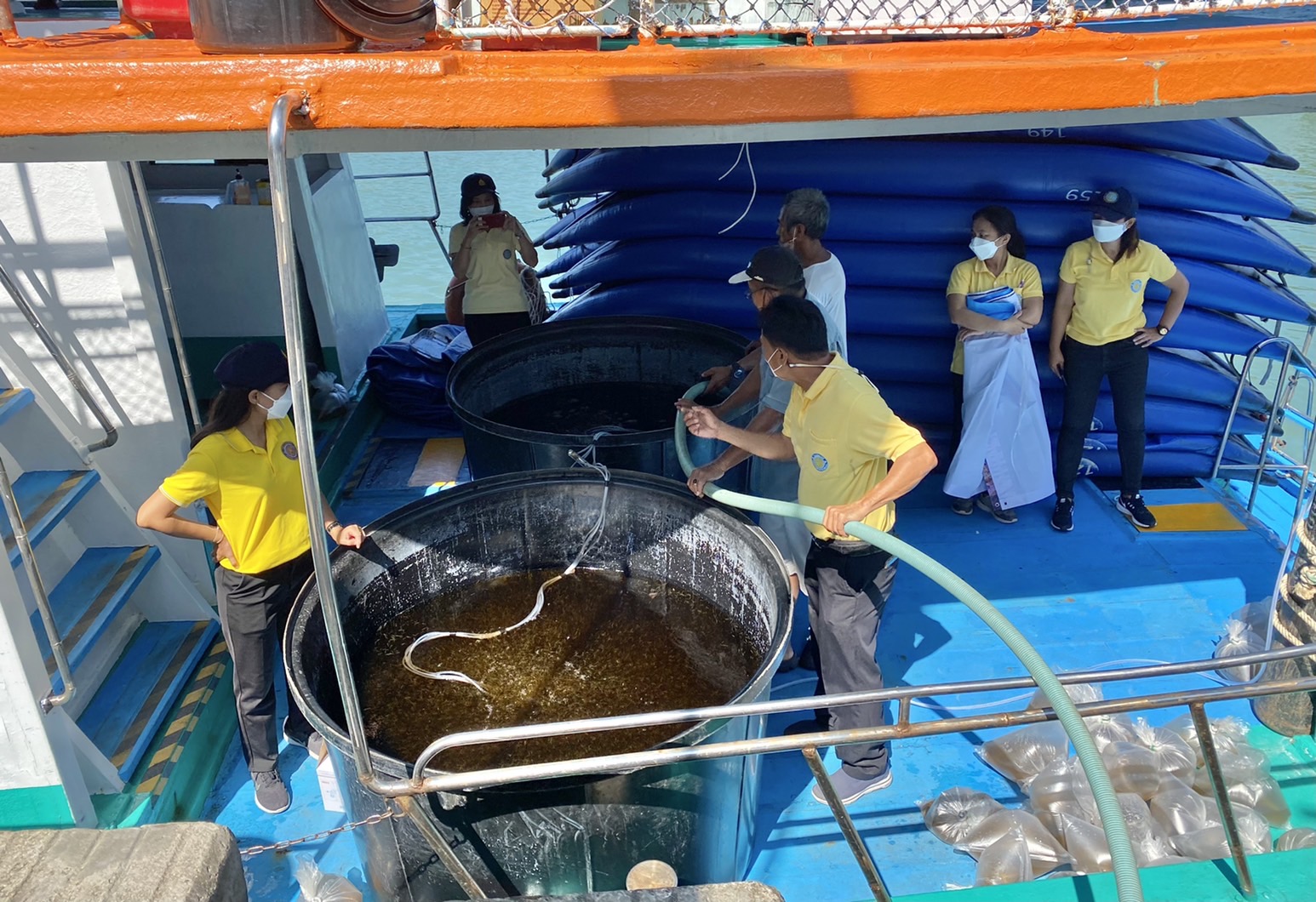 กิจกรรมปล่อยกุ้งกุลาดำภายใต้โครงการเพิ่มความอุดมสมบูรณ์สัตว์น้ำรอบเกาะภูเก็ตประจำปี2564..คลิก