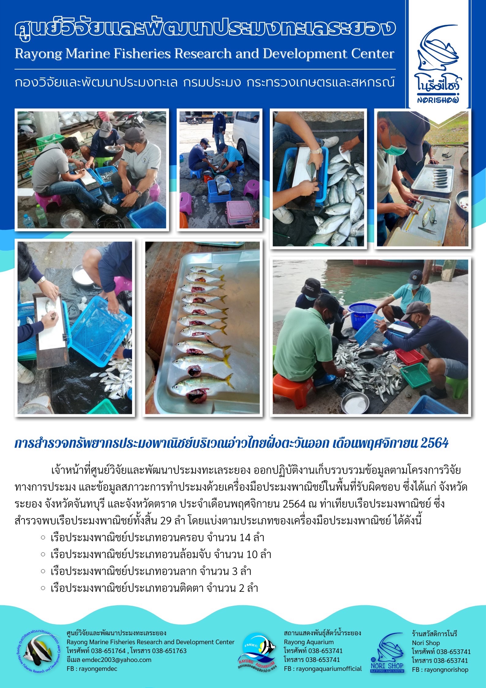 การสำรวจทรัพยากรประมงพาณิชย์บริเวณอ่าวไทยฝั่งตะวันออก เดือนพฤศจิกายน 2564 เจ้าหน้าที่ศูนย์วิจัยและพัฒนาประมงทะเลระยอง ออกปฏิบัติงานเก็บรวบรวมข้อมูลตามโครงการวิจัย ทางการประมง และข้อมูสสภาวะการทำประมงด้วยเครื่องมือประมงพาณิชย์ในพื้นที่รับผิดชอบ ซึ่งได้แก่ จังหวัด ระยอง จังหวัดจันทบุรี และจังหวัดตราด ประจำเดือนพฤศจิกายน 2564 ณ ท่าเทียบเรือประมงพาณิชย์ ซึ่ง สำรวจพบเรือประมงพาณิชย์ทั้งสิ้น 29 ลำ โดยแบ่งตามประเภทของเครื่องมือประมงพาณิชย์ฯ..คลิก