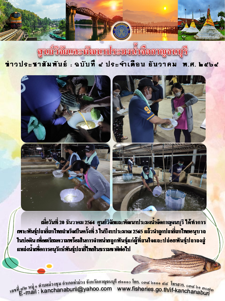 เพาะพันธุ์ปลายี่สกไทย..คลิก