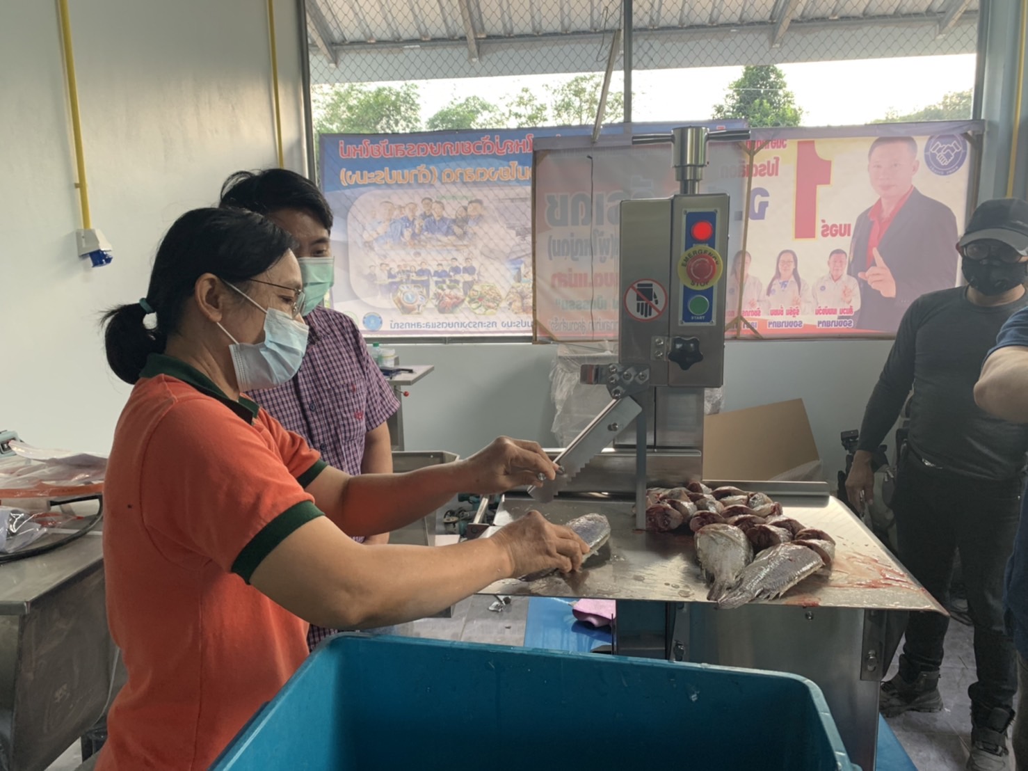 ประมงจังหวัดน่าน มอบหมายให้นักวิชาการประมงปฏิบัติการ ร่วมทดสอบเครื่องจักรและให้คำแนะนำวิธีการแล่ปลาแก่กลุ่มวิสาหกิจชุมชนแปลงใหญ่ปลานิลเวียงสา..คลิก