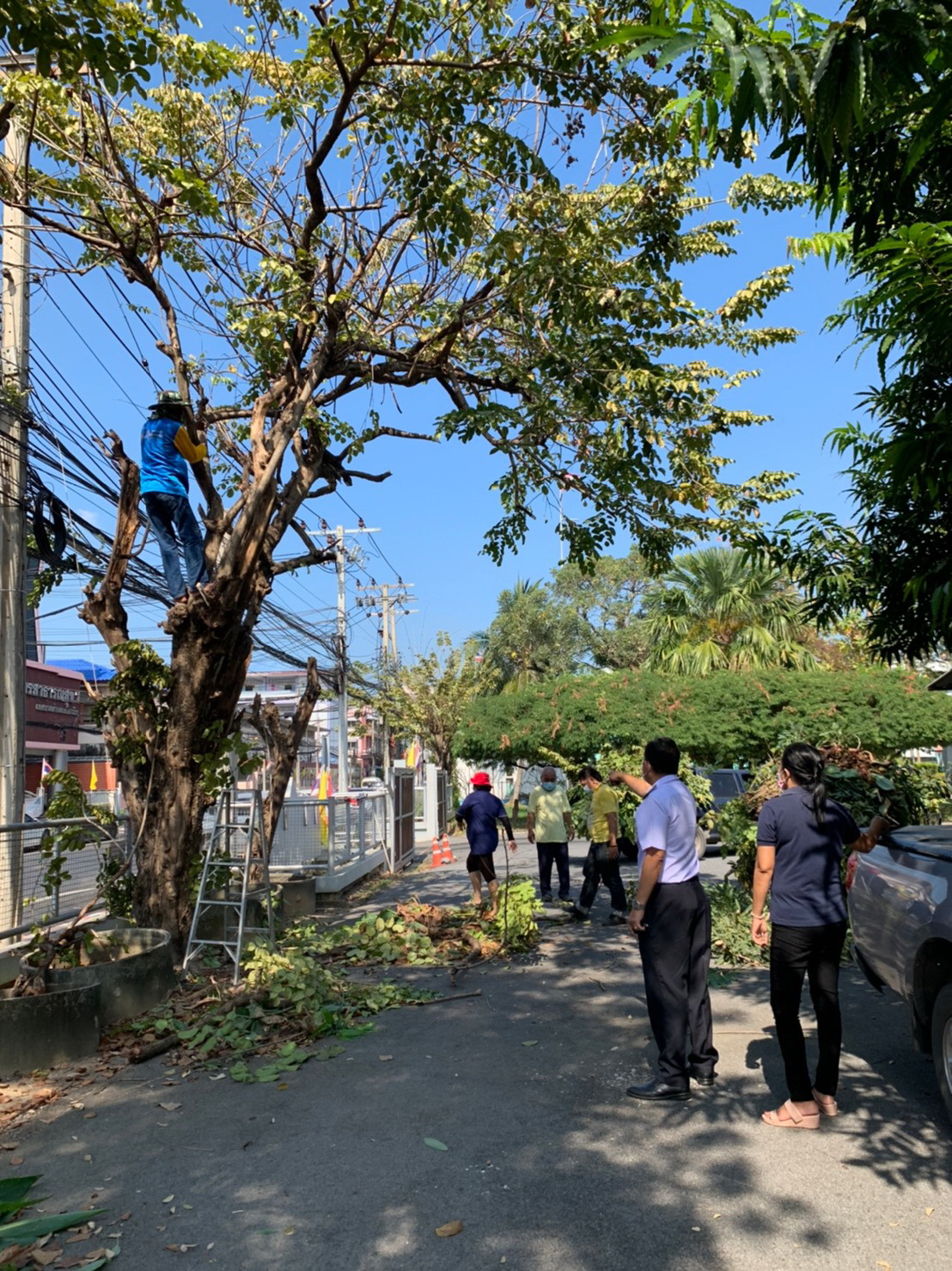 กิจกรรม Big cleaning day ณ บริเวณโดยรอบสำนักงานประมงจังหวัดนนทบุรี..คลิก