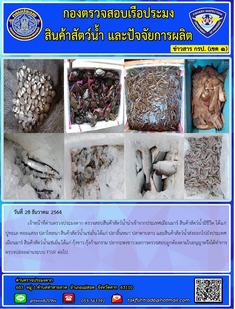 วันที่ 28 ธันวาคม 2564   	     เจ้าหน้าที่ด่านตรวจประมงตาก ตรวจสอบสินค้าสัตว์น้ำนำเข้าจากประเทศเมียนมาร์ สินค้าสัตว์น้ำมีชีวิต ได้แก่ ปูทะเล หอยแครง ปลาไหลนา สินค้าสัตว์น้ำแช่เย็น ได้แก่ ปลาลิ้นหมา ปลาดาบลาว และสินค้าสัตว์น้ำส่งออกไปยังประเทศเมียนมาร์ สินค้าสัตว์น้ำแช่เย็น ได้แก่ กุ้งขาว กุ้งก้ามกราม ปลากะพงขาว ผลการตรวจสอบถูกต้องตามใบอนุญาตจึงได้ทำการตรวจปล่อยผ่านระบบ FSW ต่อไป..คลิก