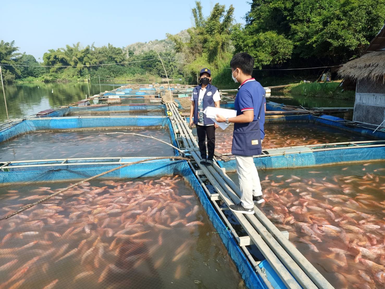 ตรวจสอบแหล่งทำการเพาะเลี้ยงสัตว์น้ำที่จะขอโอนใบอนุญาต..คลิก