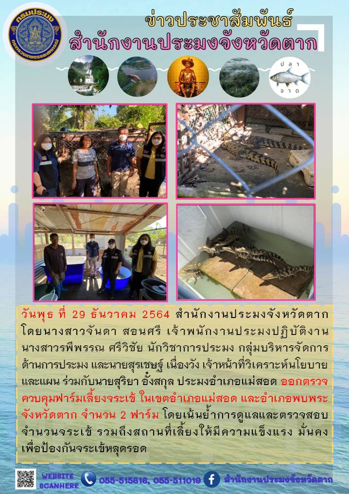 ตรวจเยี่ยมฟาร์มจระเข้ในอำเภอแม่สอด และอำเภอพบพระ..คลิก