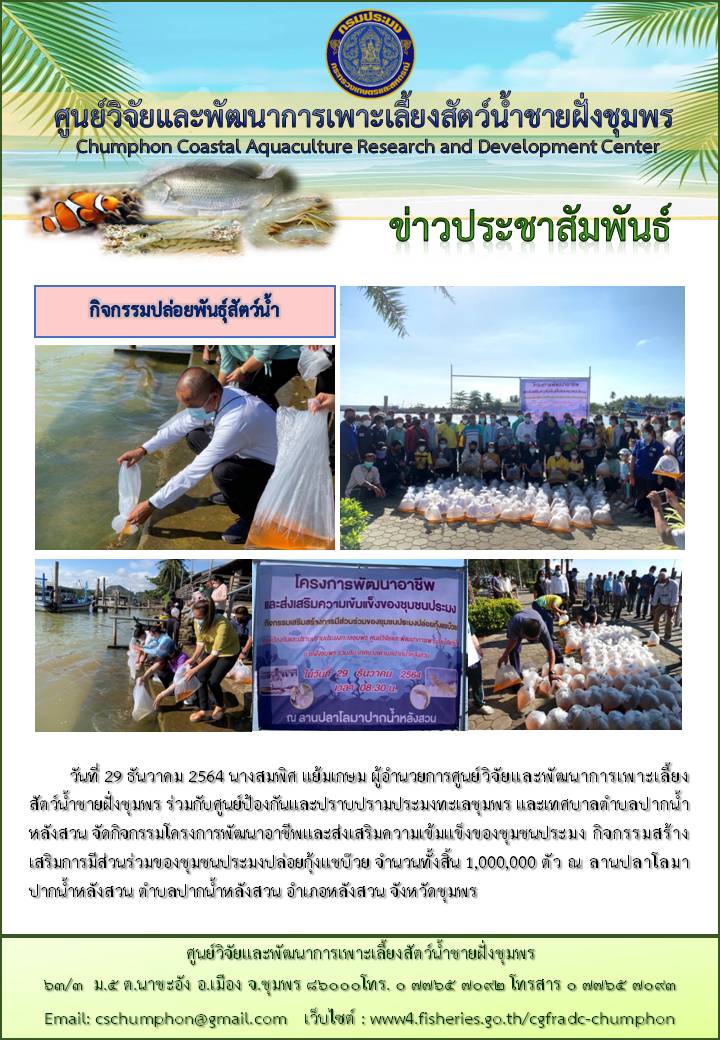กิจกรรมสร้างเสริมการมีส่วนร่วมของชุมชนประมงปล่อยกุ้งแชบ๊วย จำนวน 1,000,000 ตัว..คลิก