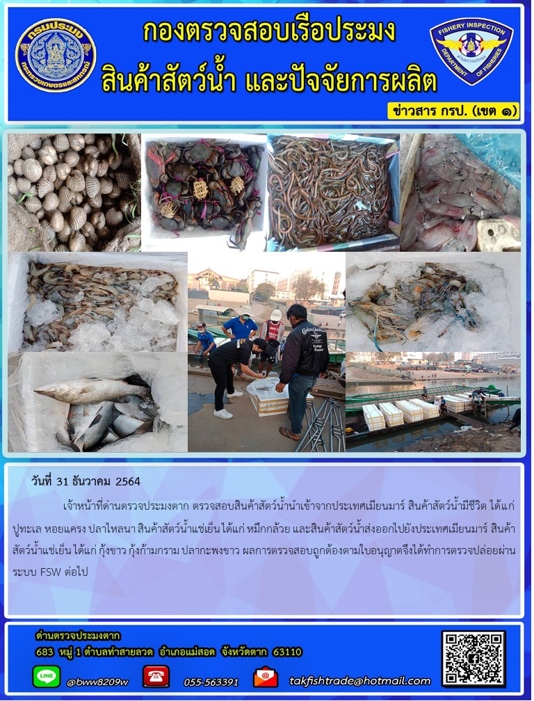 วันที่ 31 ธันวาคม 2564   	     เจ้าหน้าที่ด่านตรวจประมงตาก ตรวจสอบสินค้าสัตว์น้ำนำเข้าจากประเทศเมียนมาร์ สินค้าสัตว์น้ำมีชีวิต ได้แก่ ปูทะเล หอยแครง ปลาไหลนา สินค้าสัตว์น้ำแช่เย็น ได้แก่ หมึกกล้วย และสินค้าสัตว์น้ำส่งออกไปยังประเทศเมียนมาร์ สินค้าสัตว์น้ำแช่เย็น ได้แก่ กุ้งขาว กุ้งก้ามกราม ปลากะพงขาว ผลการตรวจสอบถูกต้องตามใบอนุญาตจึงได้ทำการตรวจปล่อยผ่านระบบ FSW ต่อไป