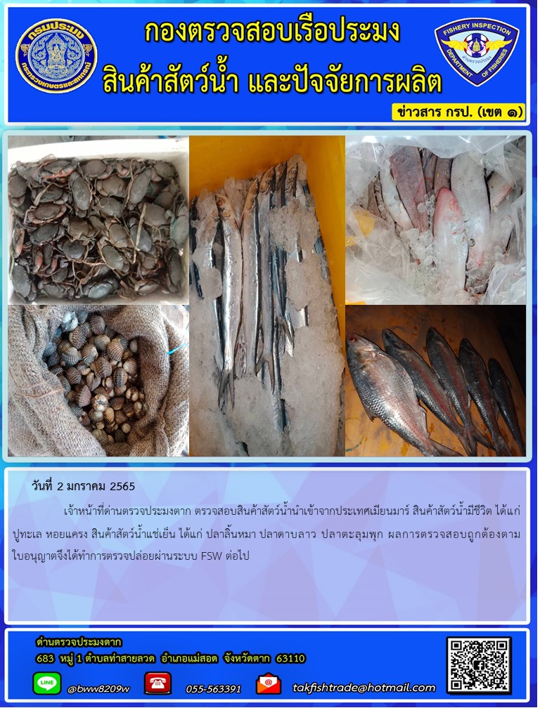 วันที่ 2 มกราคม 2565   	     เจ้าหน้าที่ด่านตรวจประมงตาก ตรวจสอบสินค้าสัตว์น้ำนำเข้าจากประเทศเมียนมาร์ สินค้าสัตว์น้ำมีชีวิต ได้แก่ ปูทะเล หอยแครง สินค้าสัตว์น้ำแช่เย็น ได้แก่ ปลาลิ้นหมา ปลาดาบลาว ปลาตะลุมพุก ผลการตรวจสอบถูกต้องตามใบอนุญาตจึงได้ทำการตรวจปล่อยผ่านระบบ FSW ต่อไป