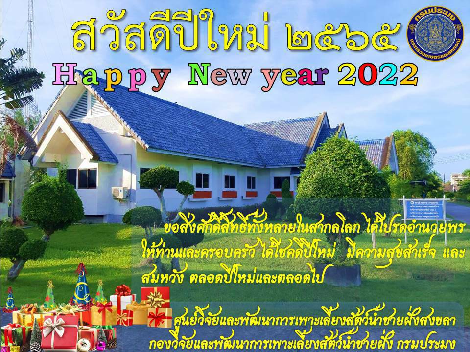สวัสดีปีใหม่2565