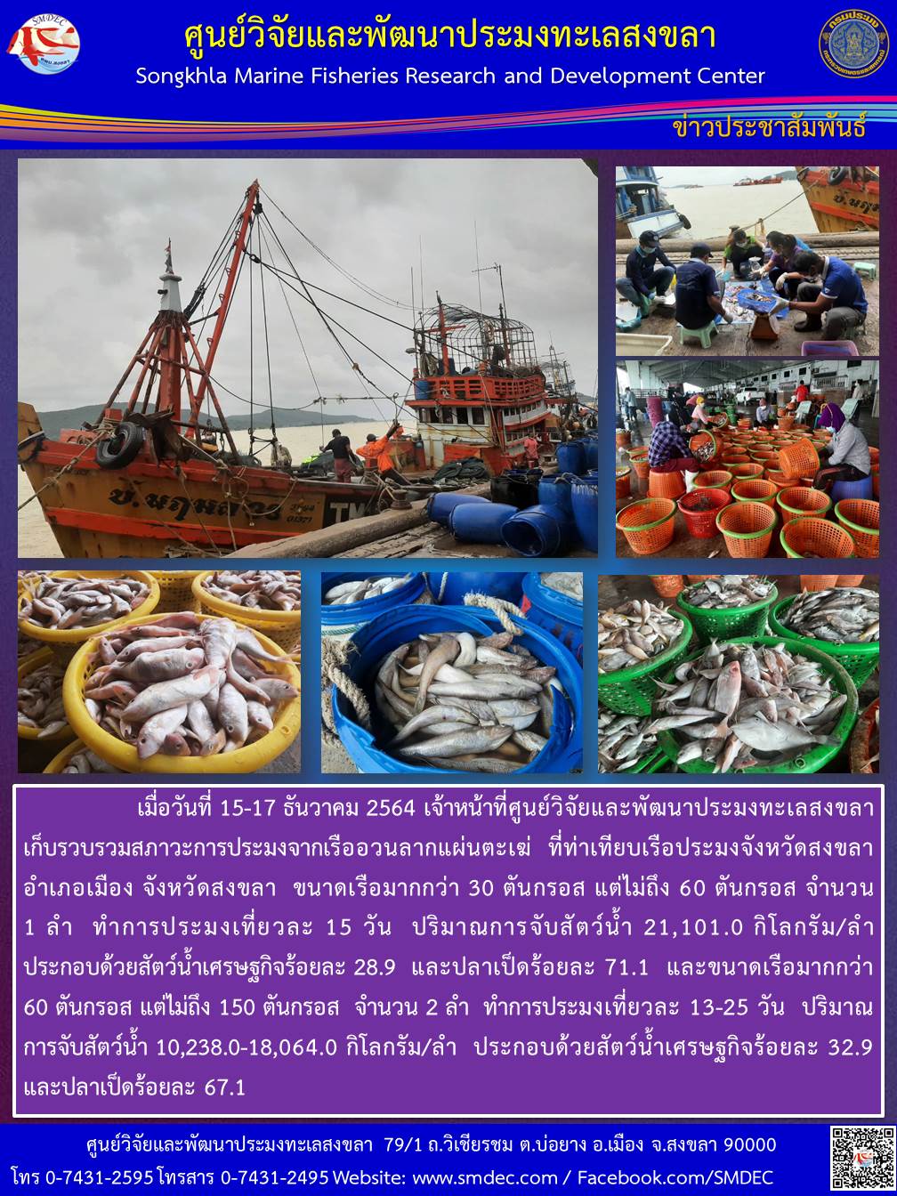 เมื่อวันที่ 15-17 ธันวาคม 2564 เจ้าหน้าที่ศูนย์วิจัยและพัฒนาประมงทะเลสงขลา เก็บรวบรวมสภาวะการประมงจากเรืออวนลากแผ่นตะเม่ ที่ท่าเทียบเรือประมงจังหวัดสงขลา อำเภอเมือง จังหวัดสงขลา ขนาดเรือมากกว่า 30 ต้นกรอส แต่ไม่ถึง 60 ต้นกรอส ฯ..คลิก