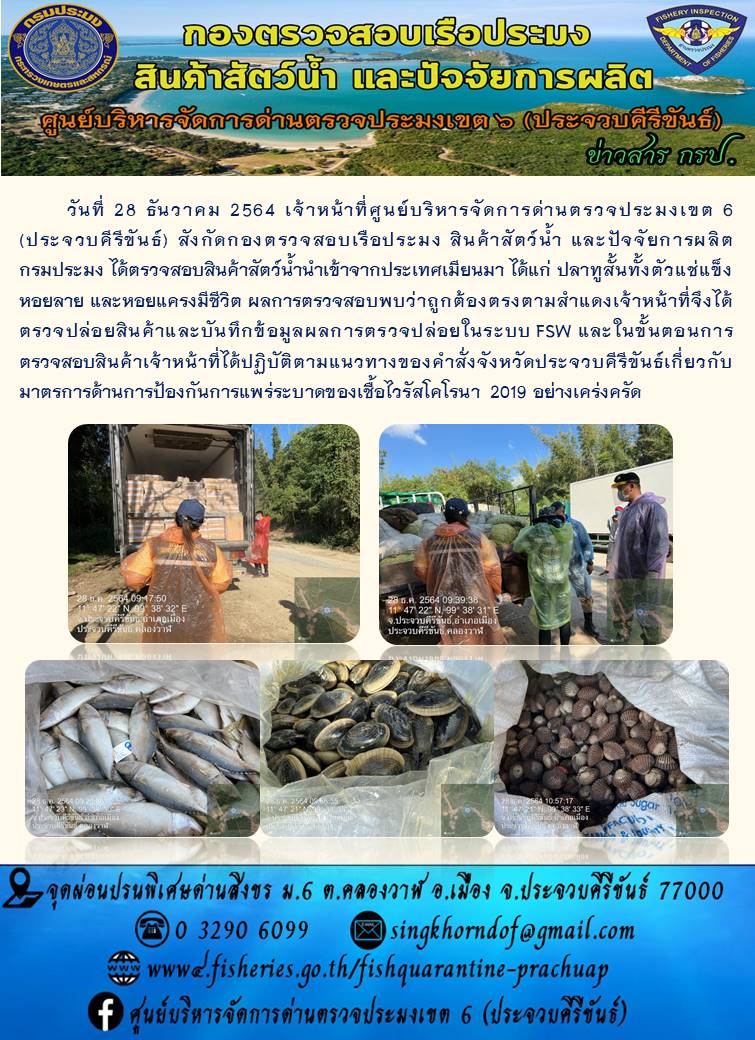 สินค้าสัตว์น้ำนำเข้าจากประเทศเมียนมา..คลิก