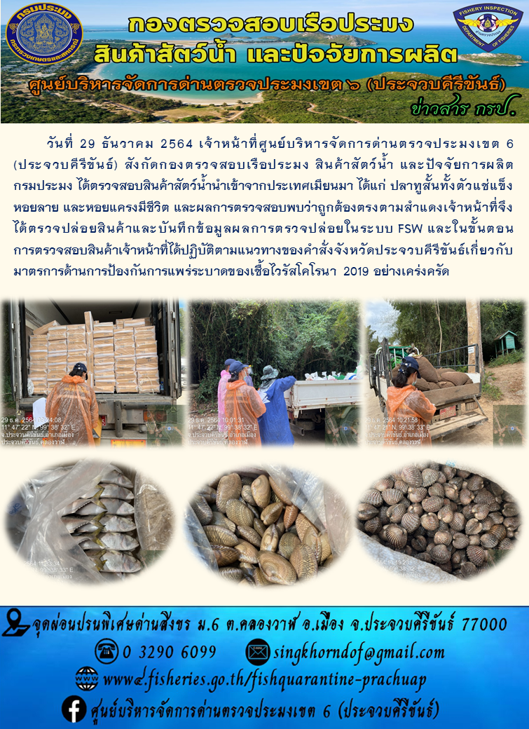 สินค้าสัตว์น้ำนำเข้าจากประเทศเมียนมา