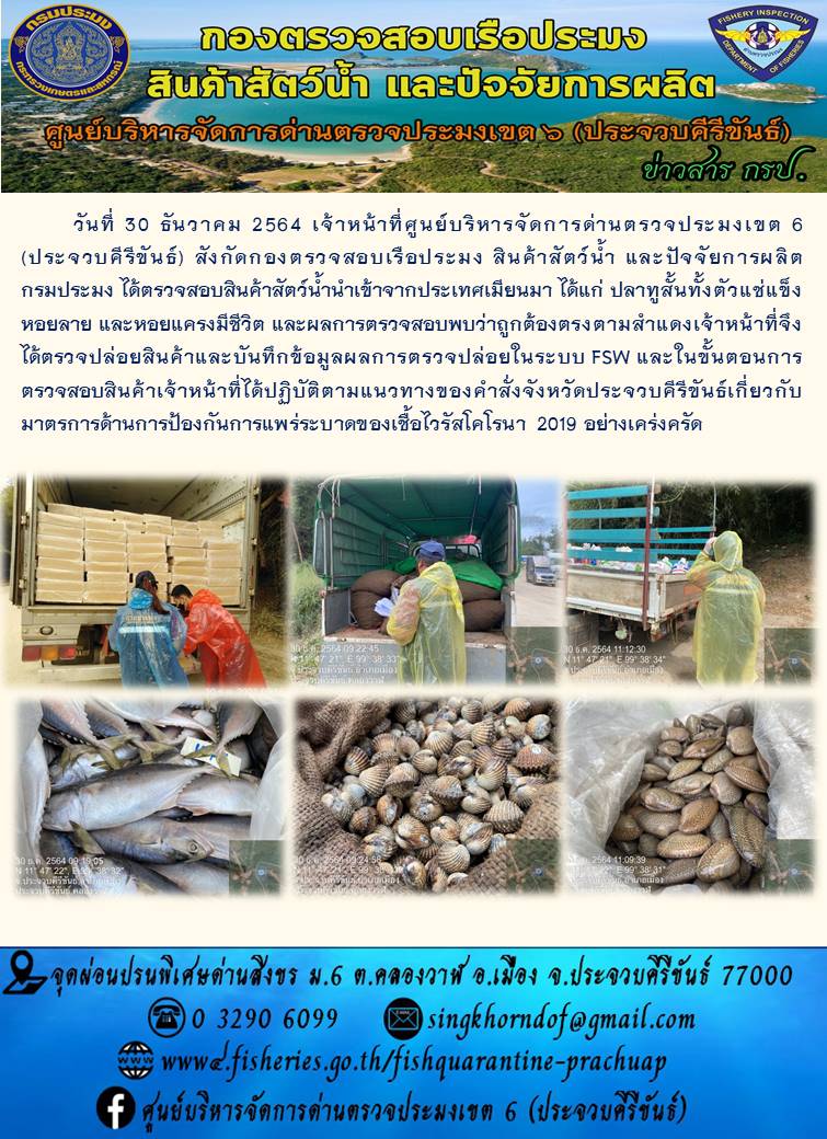สินค้าสัตว์น้ำนำเข้าจากประเทศเมียนมา
