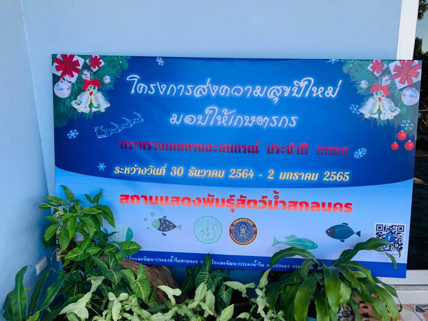 ภาพบรรยากาศกิจกรรมในโครงการ