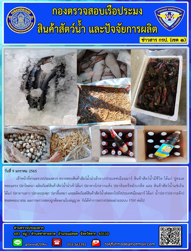 วันที่ 9 มกราคม 2565  	เจ้าหน้าที่ด่านตรวจประมงตาก ตรวจสอบสินค้าสัตว์น้ำนำเข้าจากประเทศเมียนมาร์ สินค้าสัตว์น้ำมีชีวิต ได้แก่ ปูทะเล หอยแครง ปลาไหลนา ผลิตภัณฑ์สินค้าสัตว์น้ำนำเข้าได้แก่ ปลาหางไก่ตากแห้ง ปลาอินทรีหมักเกลือ และ สินค้าสัตว์น้ำแช่เย็น ได้แก่ ปลาดาบลาว ปลาตะลุมพุก ปลาลิ้นหมา และผลิตภัณฑ์สินค้าสัตว์น้ำส่งออกไปยังประเทศเมียนมาร์ ได้แก่ น้ำปลา(ปลากะตัก) ซอสหอยนางรม ผลการตรวจสอบถูกต้องตามใบอนุญาต จึงได้ทำการตรวจปล่อยผ่านระบบ FSW ต่อไป..คลิก