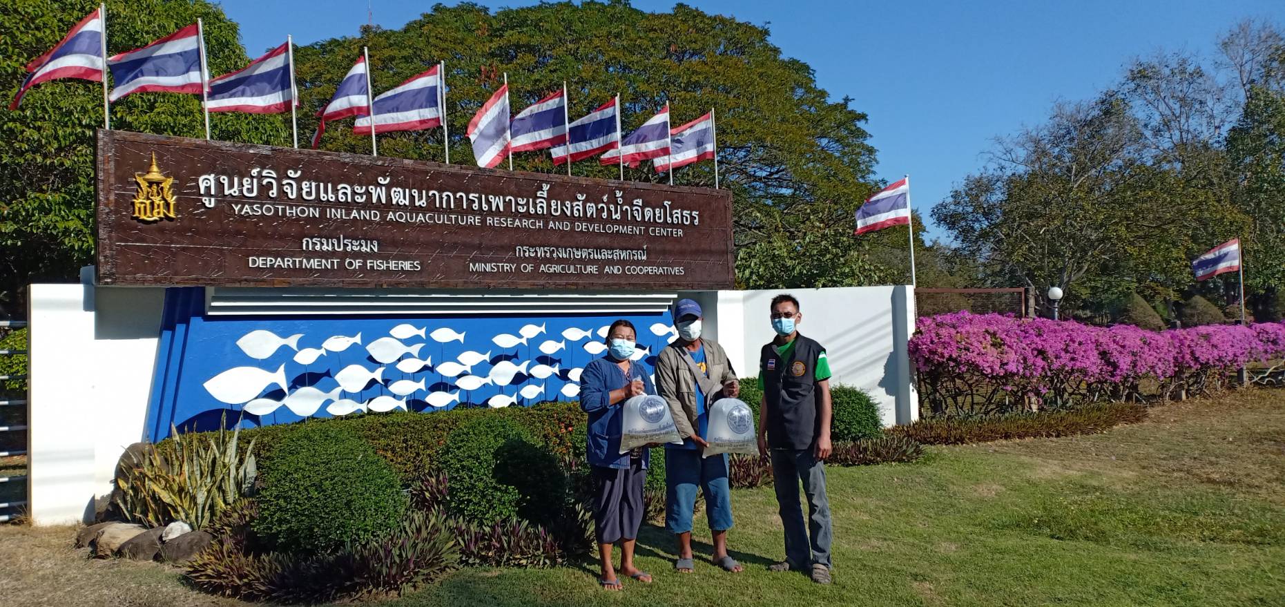 ภาพกิจกรรม วันที่ 9 ม.ค. 2565 ส.ค.ส.ปีใหม่ 2565 ให้ชาวยโสธร  โดยศูนย์วิจัยและพัฒนาการเพาะเลี้ยงสัตว์น้ำจืดยโสธร กองวิจัยและพัฒนาการเพาะเลี้ยงสัตว์น้ำจืด แจกฟรี พันธุ์ปลาไทย และเชิญชวน เยี่ยมชมหน่วยงาน ระหว่างวันที่ 1 - 15 ม.ค 2565