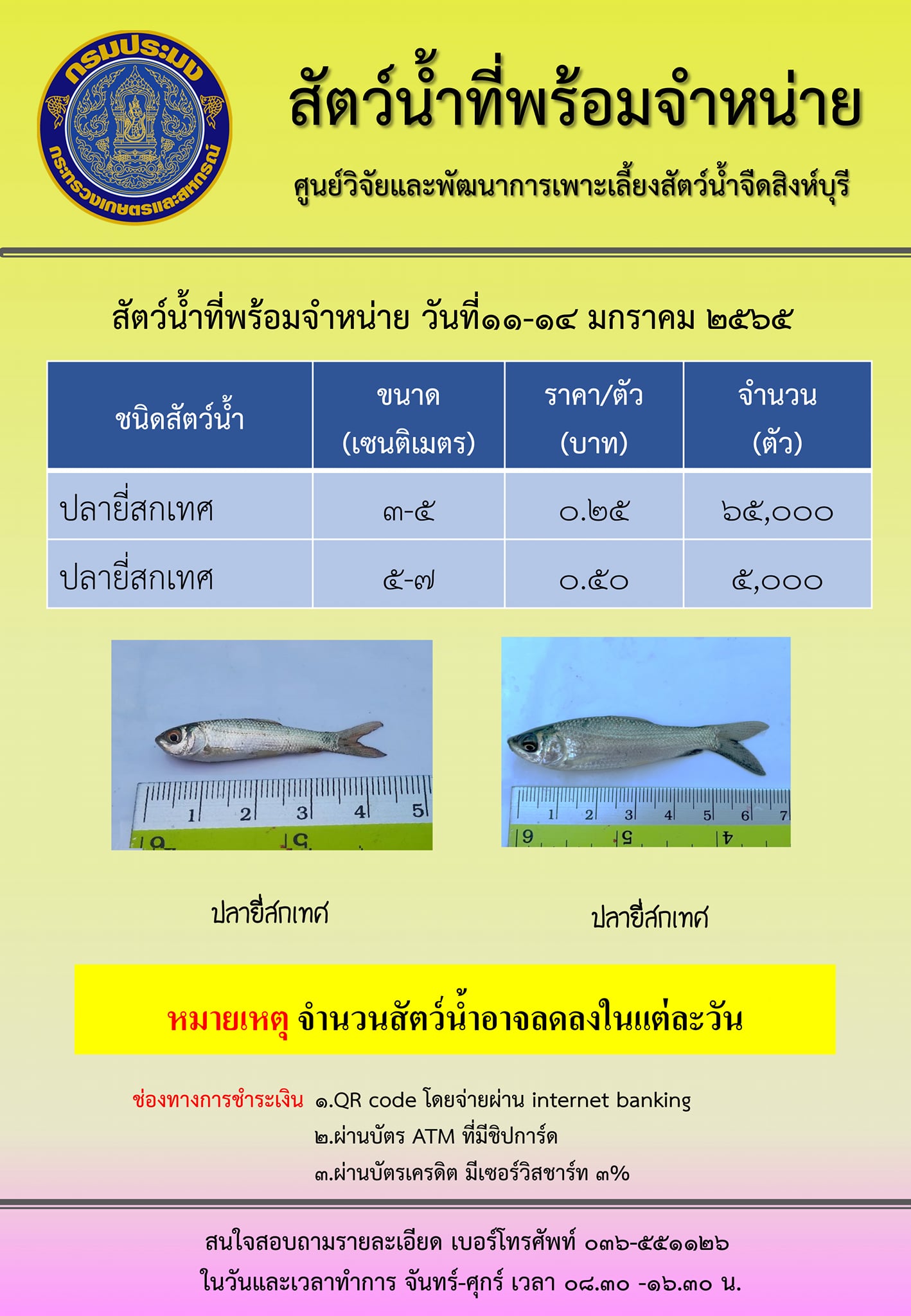 สัตว์น้ำพร้อมจำหน่าย ระหว่างวันที่ 12 มกราคม  พ.ศ. 2565..คลิก