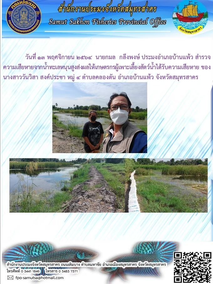 สำรวจความเสียหายจากน้ำทะเลหนุนสูงส่งผลให้เกษตรผู้เพาะเลี้ยงสัตว์น้ำได้รับความเสียหาย..คลิก