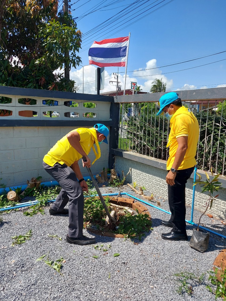 ประมงจังหวัดพัทลุง จัดกิจกรรมจิตอาสาร่วมมือร่วมใจ ร่วมพัฒนาเก็บขยะ  และปลูกต้นไม้ เพื่อปรับปรุงภูมิทัศน์ ณ บริเวณรอบ ๆ สำนักงานประมงจังหวัดพัทลุง