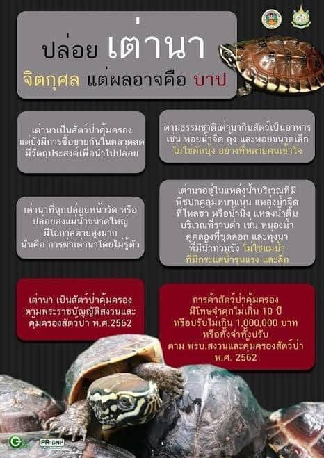 ประชาสัมพันธ์ เต่านา เป็นสัตว์ป่าคุ้มครองตามพระราชบัญญัติสงวนและคุ้มครองสัตว์ป่า พ.ศ. 2562..คลิก