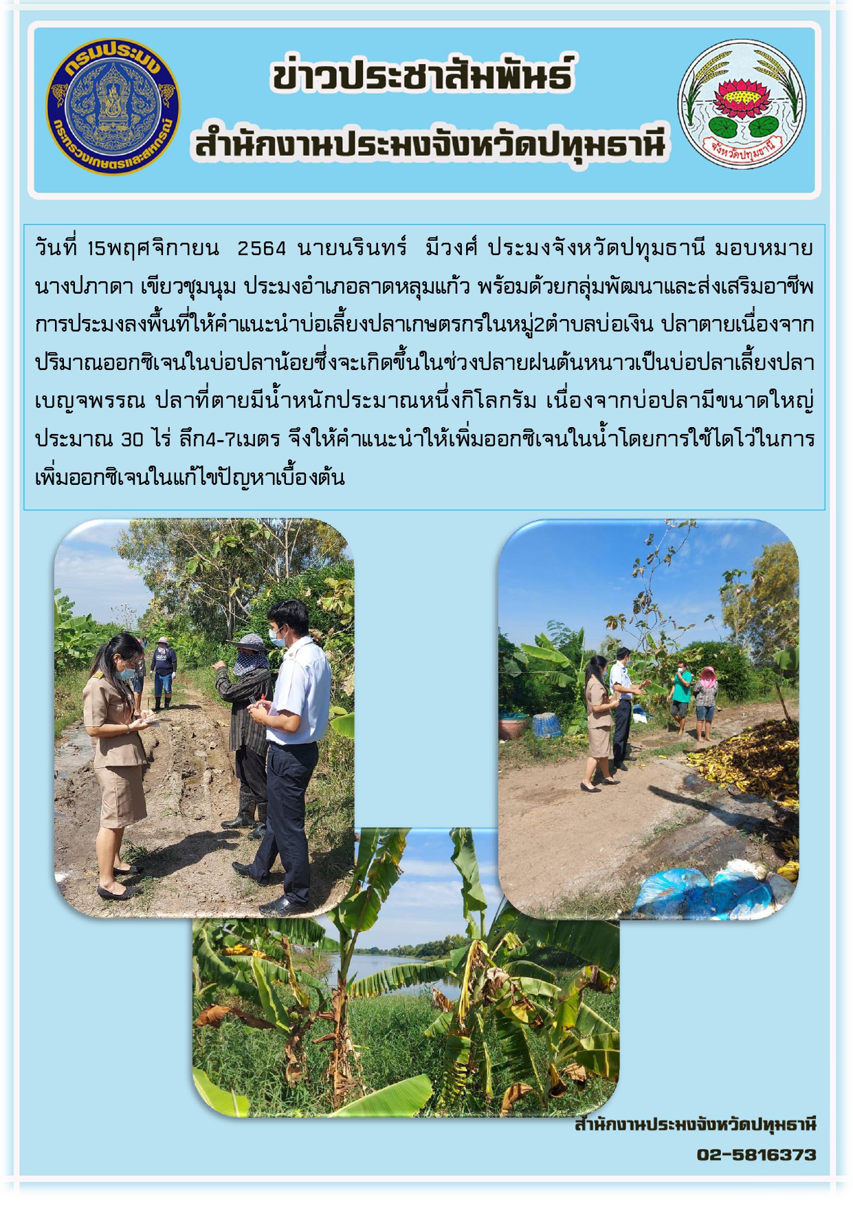 วันที่ 15พฤศจิกายน 2564 นายนรินทร์ มีวงศ์ ประมงจังหวัดปทุมธานี มอบหมาย นางปภาดา เขียวชุมนุม ประมงอาเภอลาดหลุมแก้ว พร้อมด้วยกลุ่มพัฒนาและส่งเสริมอาชีพ การประมงลงพื้นที่ให้คาแนะนาบ่อเลี้ยงปลาเกษตรกรในหมู่2ตาบลบ่อเงิน ปลาตายเนื่องจาก ปริมาณออกซิเจนในบ่อปลาน้อยซึ่งจะเกิดขึ้นในช่วงปลายฝนต้นหนาวเป็นบ่อปลาเลี้ยงปลา เบญจพรรณ ปลาที่ตายมีน้าหนักประมาณหนึ่งกิโลกรัม เนื่องจากบ่อปลามีขนาดใหญ่ ประมาณ 30 ไร่ ลึก4-7เมตร จึงให้คาแนะนาให้เพิ่มออกซิเจนในน้าโดยการใช้ไดโว่ในการ เพิ่มออกซิเจนในแก้ไขปัญหาเบื้องต้น..คลิก