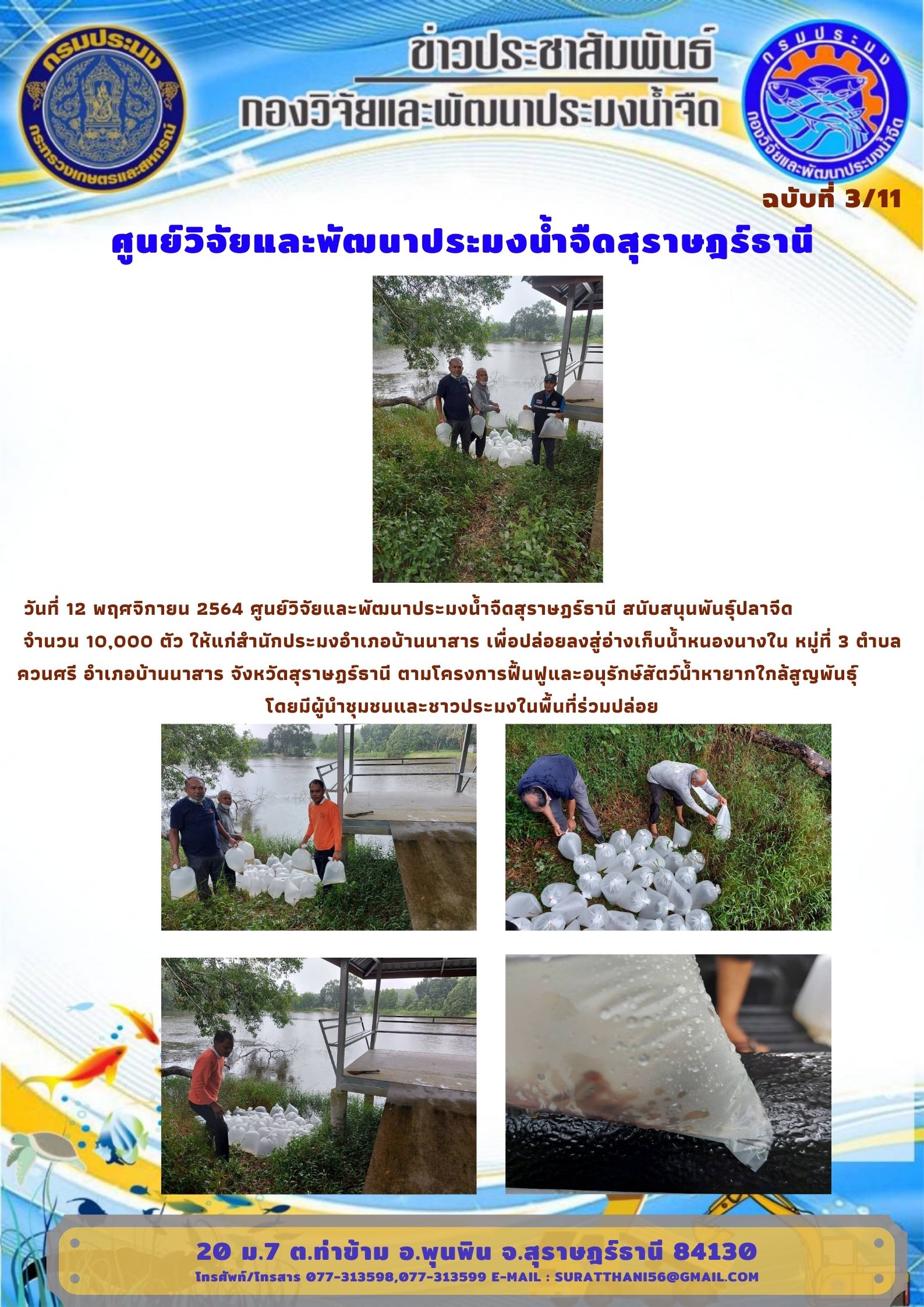 วันที่ 12 พฤศจิกายน 2564 สนับสนุนพันธุ์ปลาจีด 10,000 ตัว..คลิก