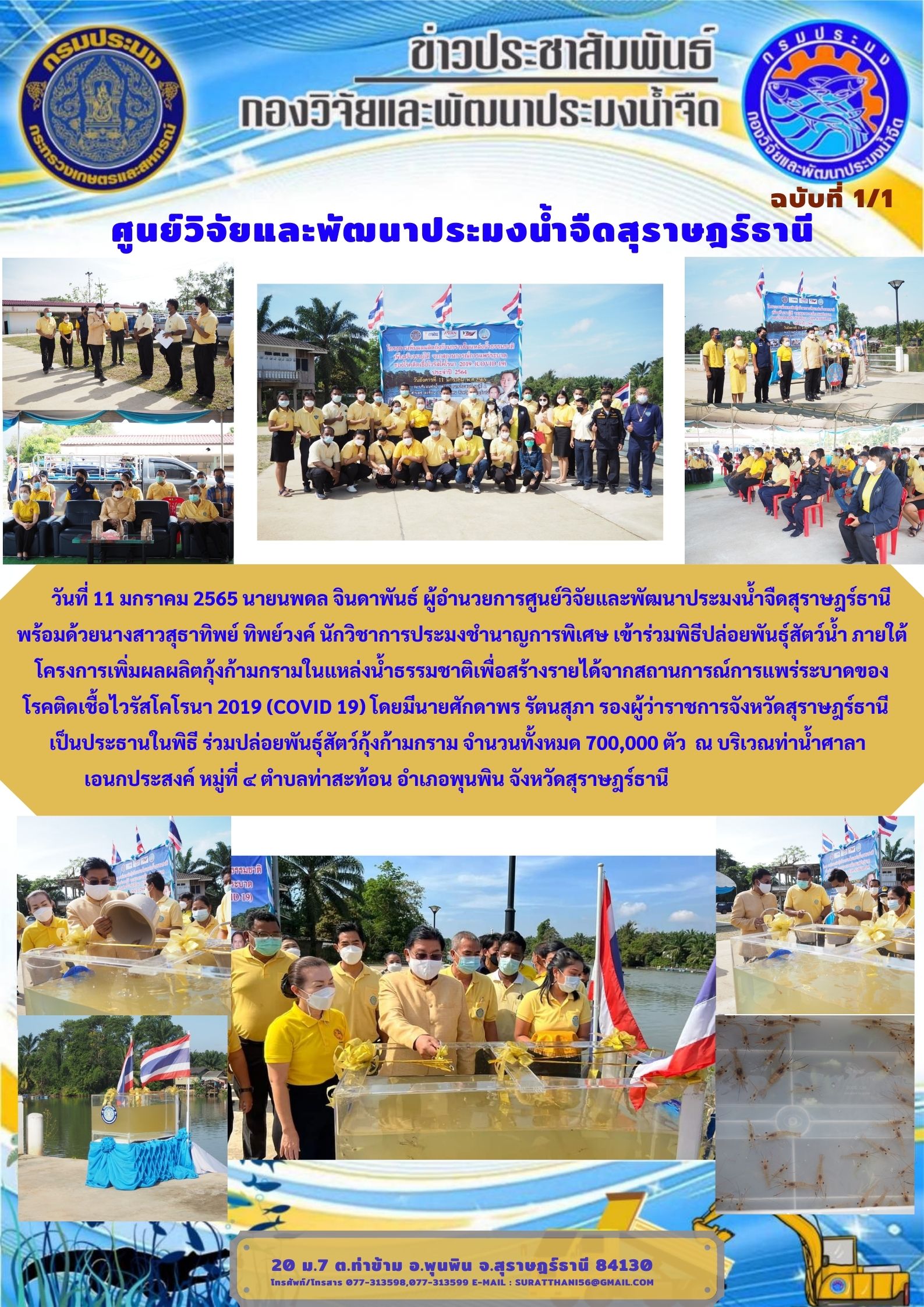 วันที่ 11 มกราคม 2565 ร่วมพิธีปล่อยพันธุ์สัตว์น้ำ ภายใต้โครงการเพิ่มผลผลิตกุ้งก้ามกรามในแหล่งน้ำธรรมชาติ..คลิก