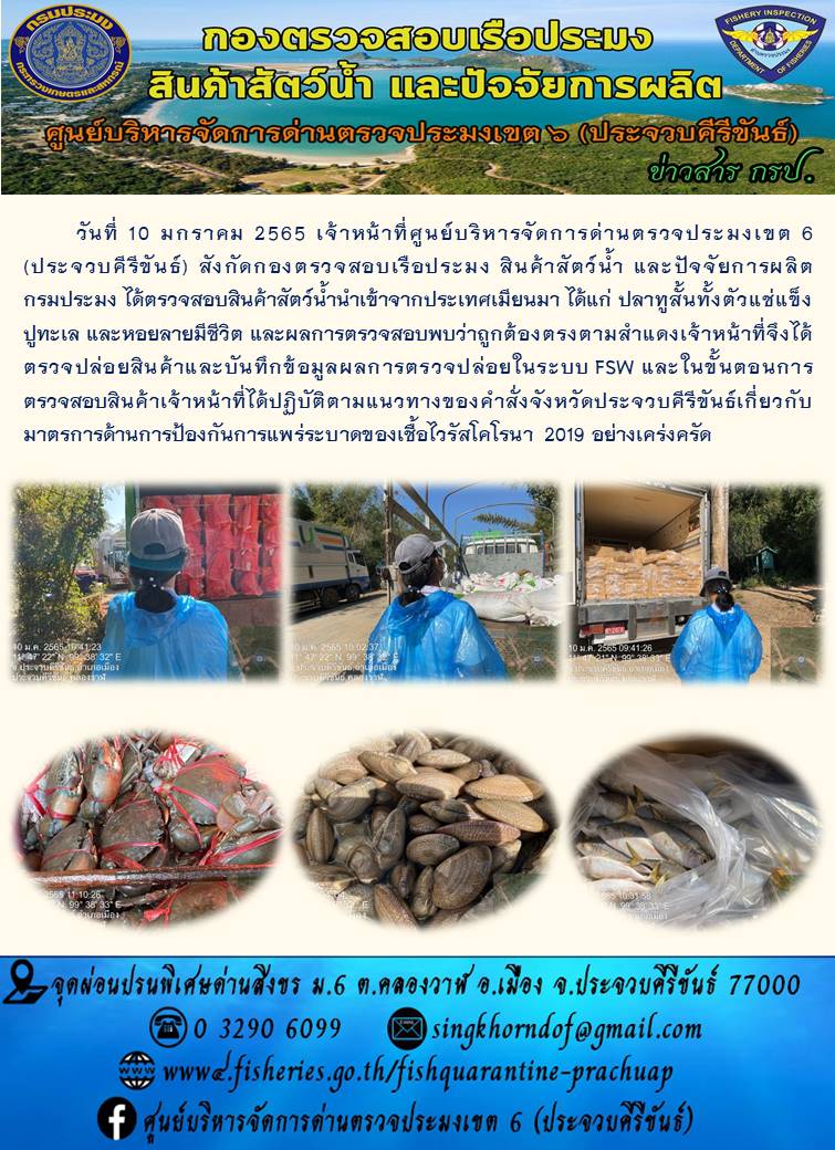 สินค้าสัตว์น้ำนำเข้าจากประเทศเมียนมา
