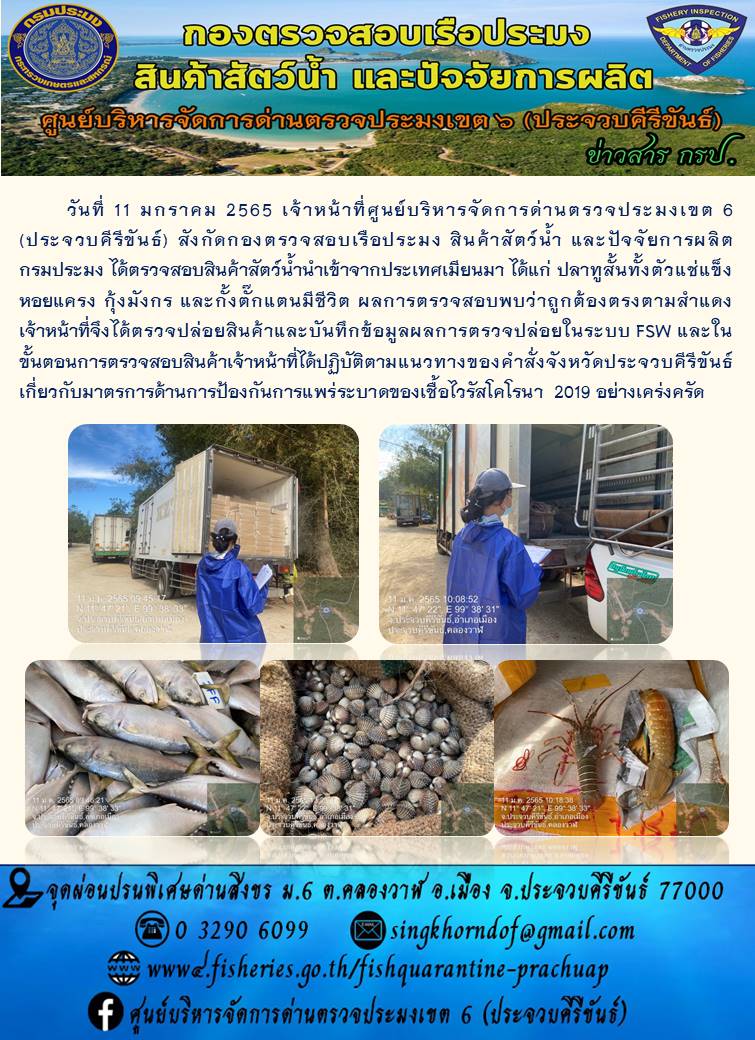 สินค้าสัตว์น้ำนำเข้าจากประเทศเมียนมา