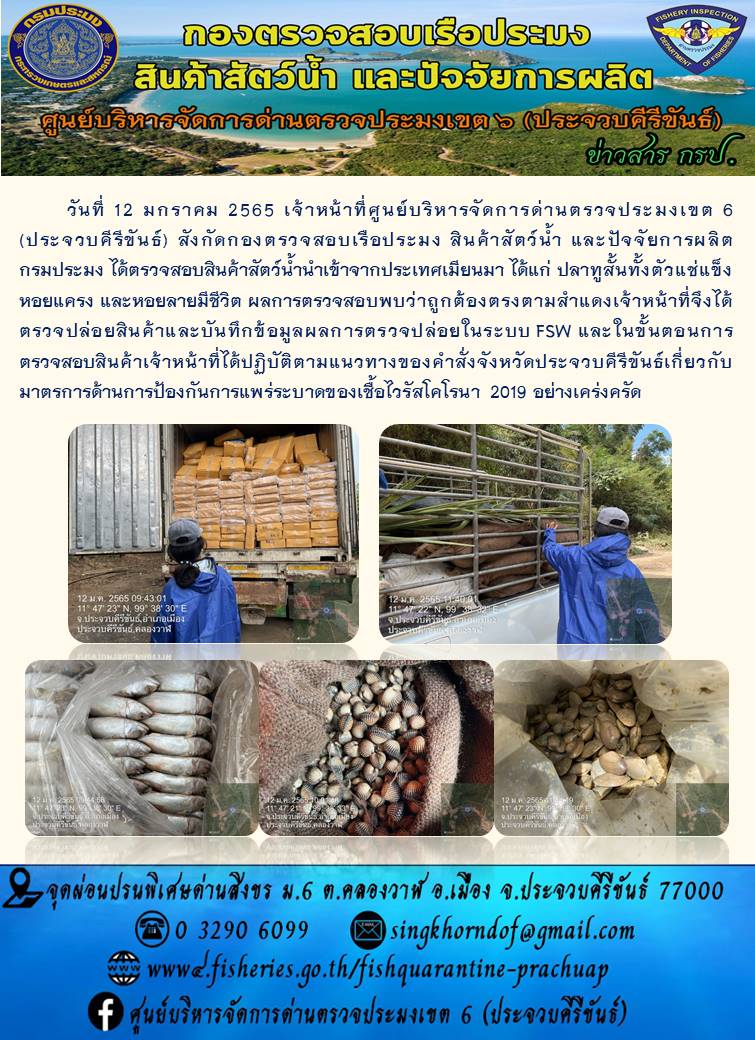สินค้าสัตว์น้ำนำเข้าจากประเทศเมียนมา
