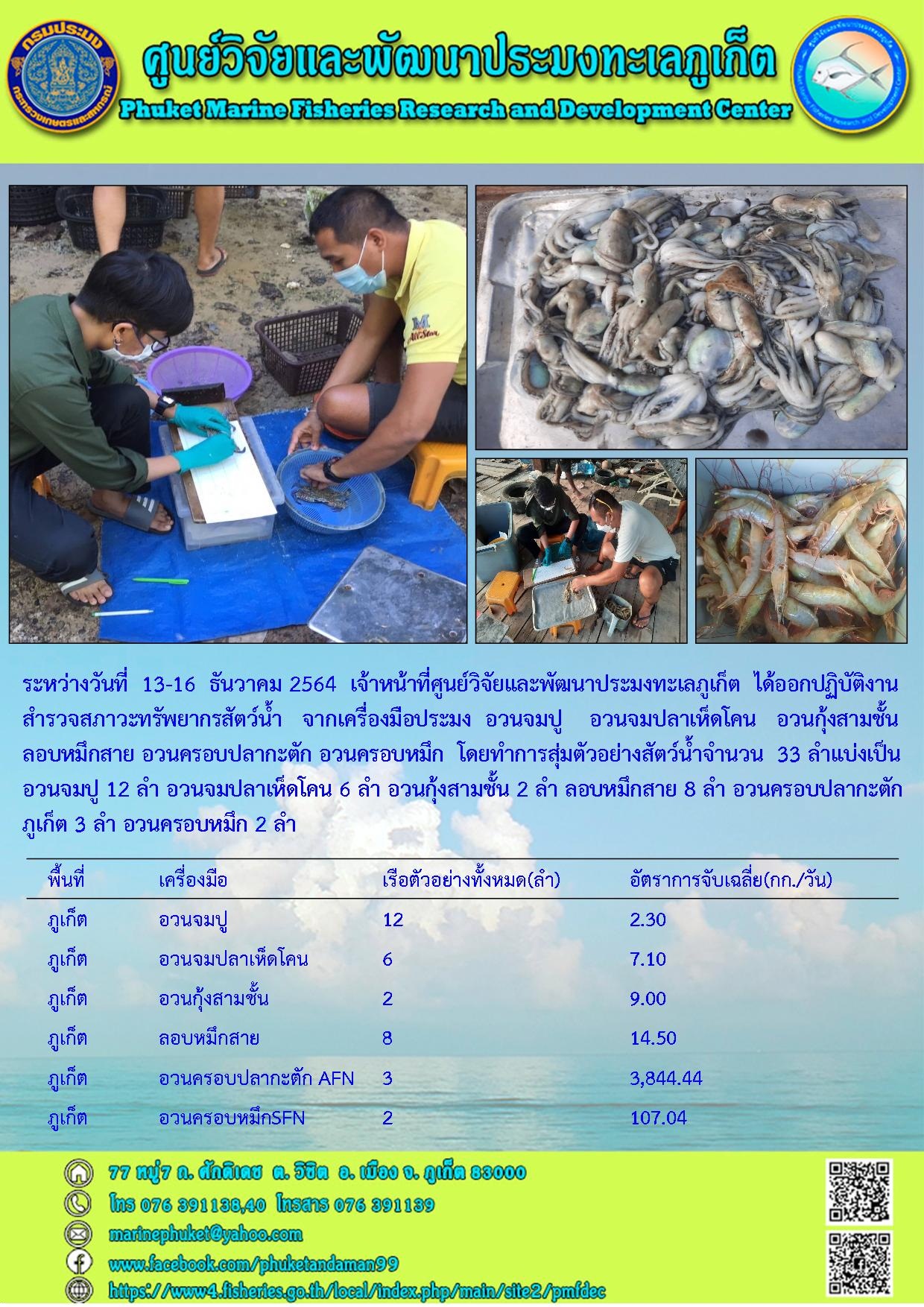 ระหว่างวันที่  13-16  ธันวาคม 2564  เจ้าหน้าที่ศูนย์วิจัยและพัฒนาประมงทะเลภูเก็ต  ได้ออกปฏิบัติงานสำรวจสภาวะทรัพยากรสัตว์น้ำ   จากเครื่องมือประมง  อวนจมปู    อวนจมปลาเห็ดโคน   อวนกุ้งสามชั้น       ลอบหมึกสาย  อวนครอบปลากะตัก อวนครอบหมึก ในพื้นที่ จ.ภูเก็ต..คลิก